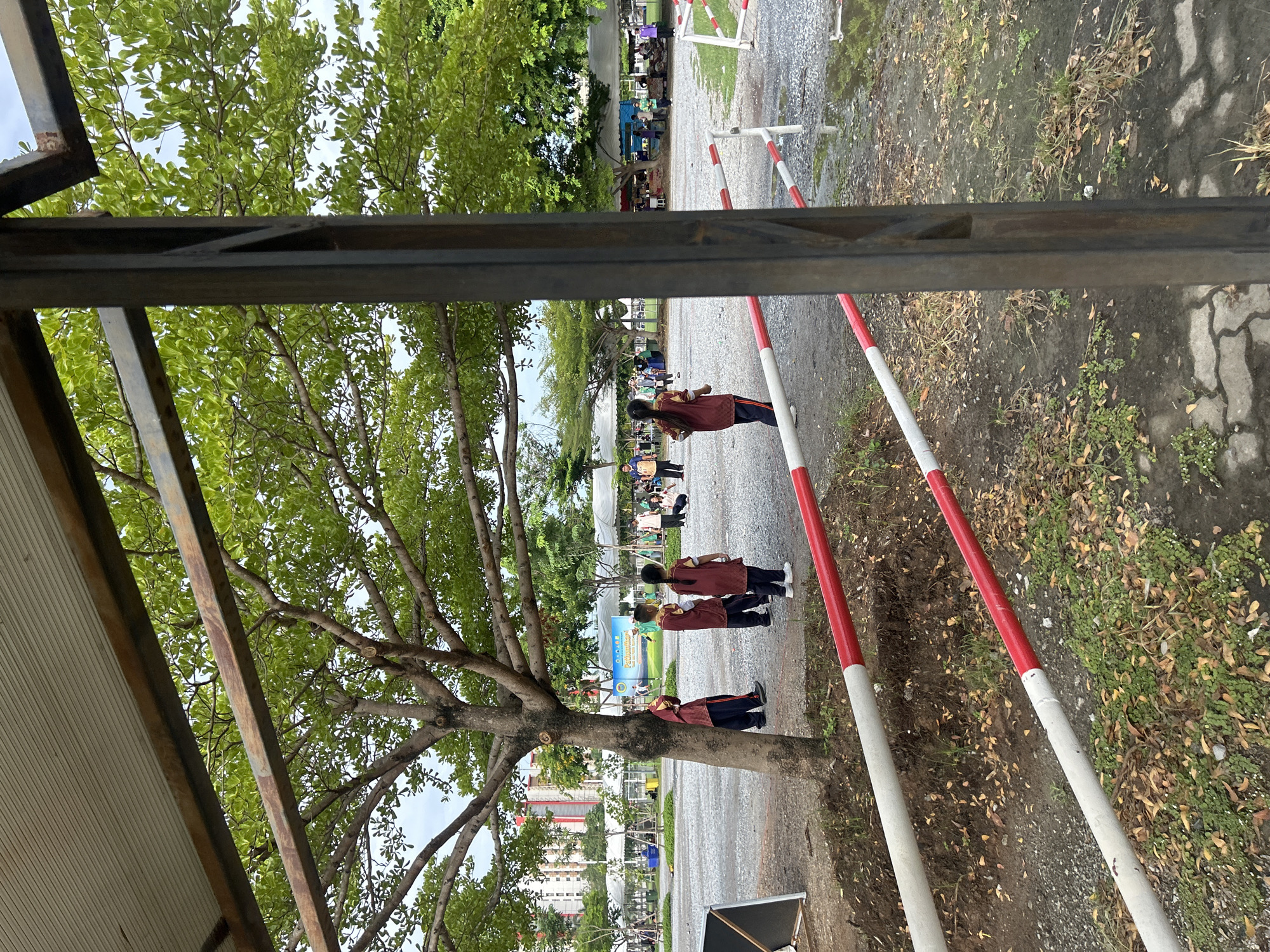 The image depicts an outdoor scene, likely in Tha Khlong Town Municipality, Thailand, characterized by a covered area with a metal roof and support beams in the foreground. Beyond this structure, a large tree with lush green foliage dominates the mid-ground, providing shade. Several individuals are visible in the area beneath the tree and in the open space beyond.
In the immediate vicinity of the tree, three young people, two girls and one boy, are standing. They appear to be wearing similar maroon and dark colored uniforms. To their left, another individual, possibly male, in a similar uniform is also present. Further in the background, several other people are scattered across the gravelly and paved area. Some are standing, while others are seated or engaged in activities that are not clearly discernible. Tents and awnings are set up in the distance, suggesting a possible market, event, or gathering.
Two horizontal barriers, painted with alternating red and white stripes, are positioned across the foreground, likely serving as a boundary or safety measure. The ground is a mix of gravel, dirt, and some paved sections with a pattern. Puddles of water are visible on the ground, indicating recent rain. The overall environment appears to be an open public space with trees and some urban structures visible in the far background. The sky is overcast, suggesting it might be a cloudy day.