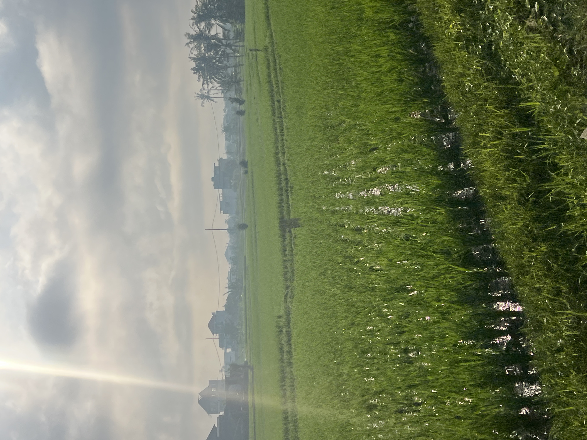 A vertical, medium shot captures a sun-drenched rice paddy under a cloudy sky. The sun's rays, a prominent bright white beam, cut diagonally from the upper left corner, illuminating the scene with a soft glow. The foreground is dominated by vibrant green rice stalks, partially submerged in water, reflecting the sunlight as small white sparkles. A darker, greener strip of grass runs along the bottom right edge, creating a slight contrast.
In the middle ground, the rice paddy extends further, with subtle channels or pathways visible. A lone, thin, vertical wooden post stands in the middle of the paddy. Beyond the paddy, the background reveals a scattering of buildings, some appearing to be houses with peaked roofs and windows, others more modern structures. Palm trees, with their distinctive fronds, dot the landscape behind the houses, adding to the tropical feel. A power line with poles stretches across the horizon. The sky is filled with a mix of grey and white clouds, with patches of brighter sky suggesting the sun is attempting to break through. The overall impression is one of a tranquil, rural morning in Mengwi, Indonesia, likely near a residential area bordering agricultural land.