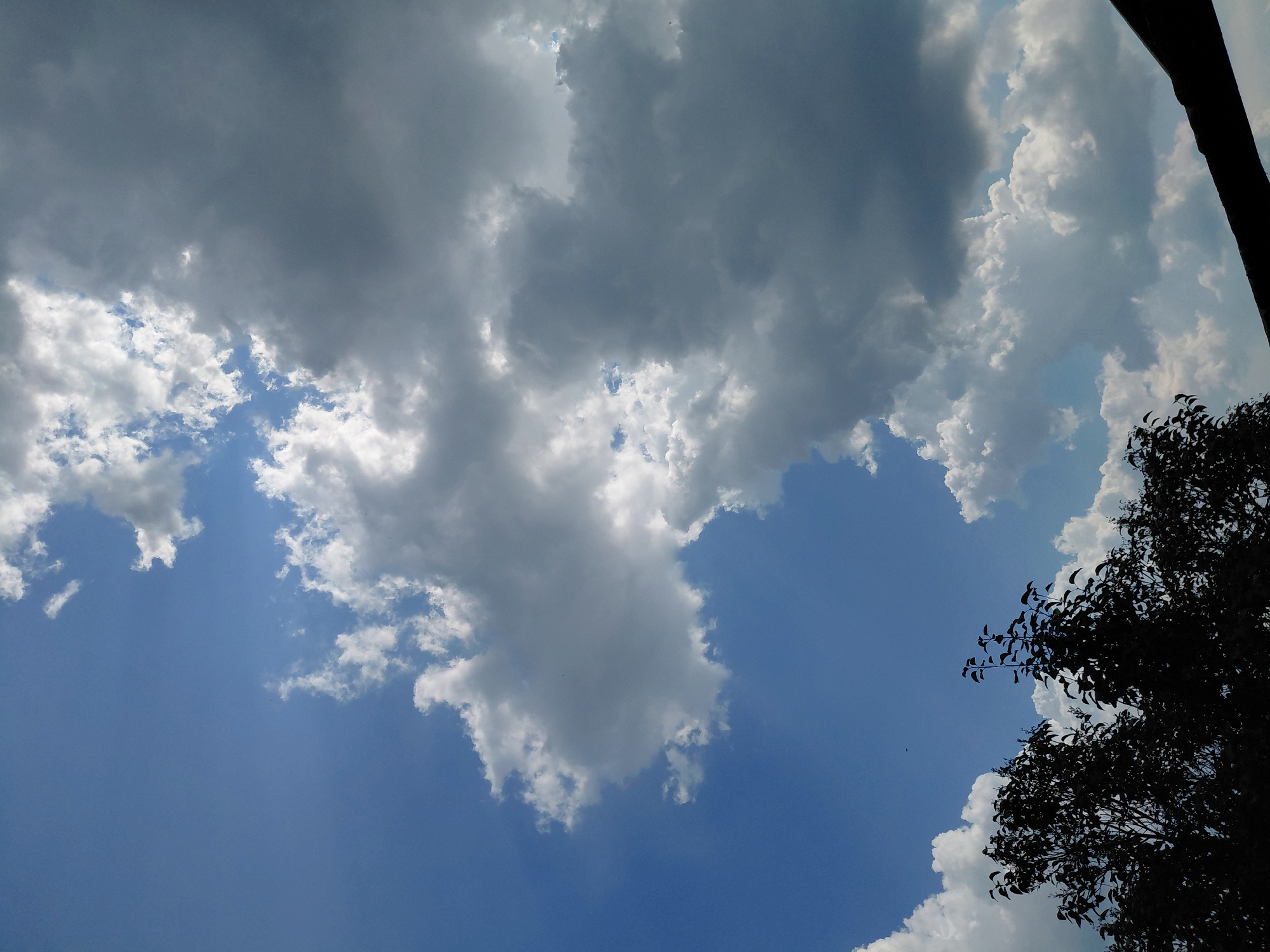 This is an outdoor, eye-level shot of a partially cloudy sky. The clouds are a mix of bright white cumulus and darker, more ominous storm clouds, creating a dramatic contrast. The sky is a vibrant blue, with rays of sunlight breaking through the clouds. In the foreground, silhouetted against the sky, are the tops of several trees with dark green leaves. The overall impression is one of a dynamic and somewhat moody sky. The location is specified as Novosibirsk, Russia.