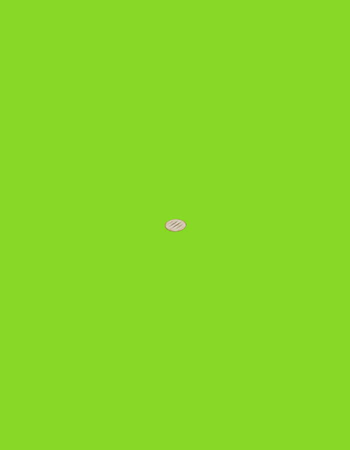 A close-up, eye-level, indoor, medium shot captures a single, beige, round food item with grill marks, centered against a vibrant, lime green background. The food item appears to be a small patty or biscuit. There is no indication of the location being Moscow, Russia.