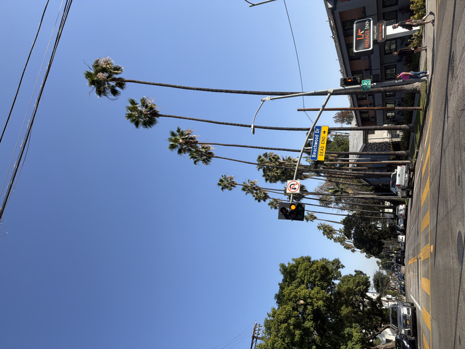 A street scene with tall palm trees lining the sidewalk. The sky is blue. Street signs indicate "Beachwood Dr. - Dead End". A traffic light glows yellow. Cars are parked along the street. In the upper right, pedestrians walk near a building sign that reads "Mirage Inn." Power lines stretch across the top left of the image.