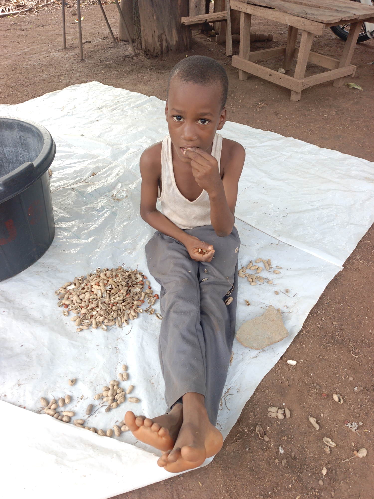 A young, slender child sits on a white sheet spread on red soil in what appears to be an outdoor location in Akwanga, Nigeria. The child wears a white tank top and grey pants, legs crossed, bare feet touching. To the child's left is a black plastic bucket and a pile of peanuts. The child is holding a peanut in their hand, looking directly at the camera with a slightly pensive expression. Loose peanuts are scattered around the sheet and on the soil nearby. In the background, there is a wooden table or bench and a tree stump. The environment seems sparse and rural.