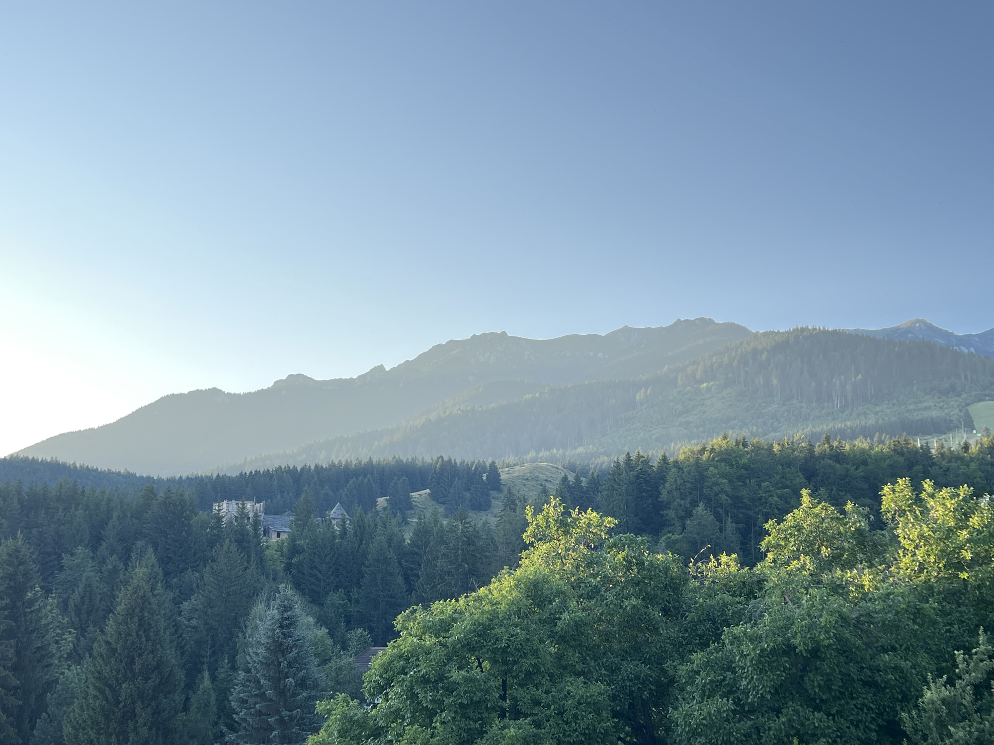 The image shows a hazy mountain range in the background, with a dense forest in the mid-ground. A few buildings are visible nestled within the trees. In the foreground, there are lush green trees. The sky is a clear, pale blue, suggesting it might be early morning or late afternoon. The overall scene depicts a serene, natural landscape.