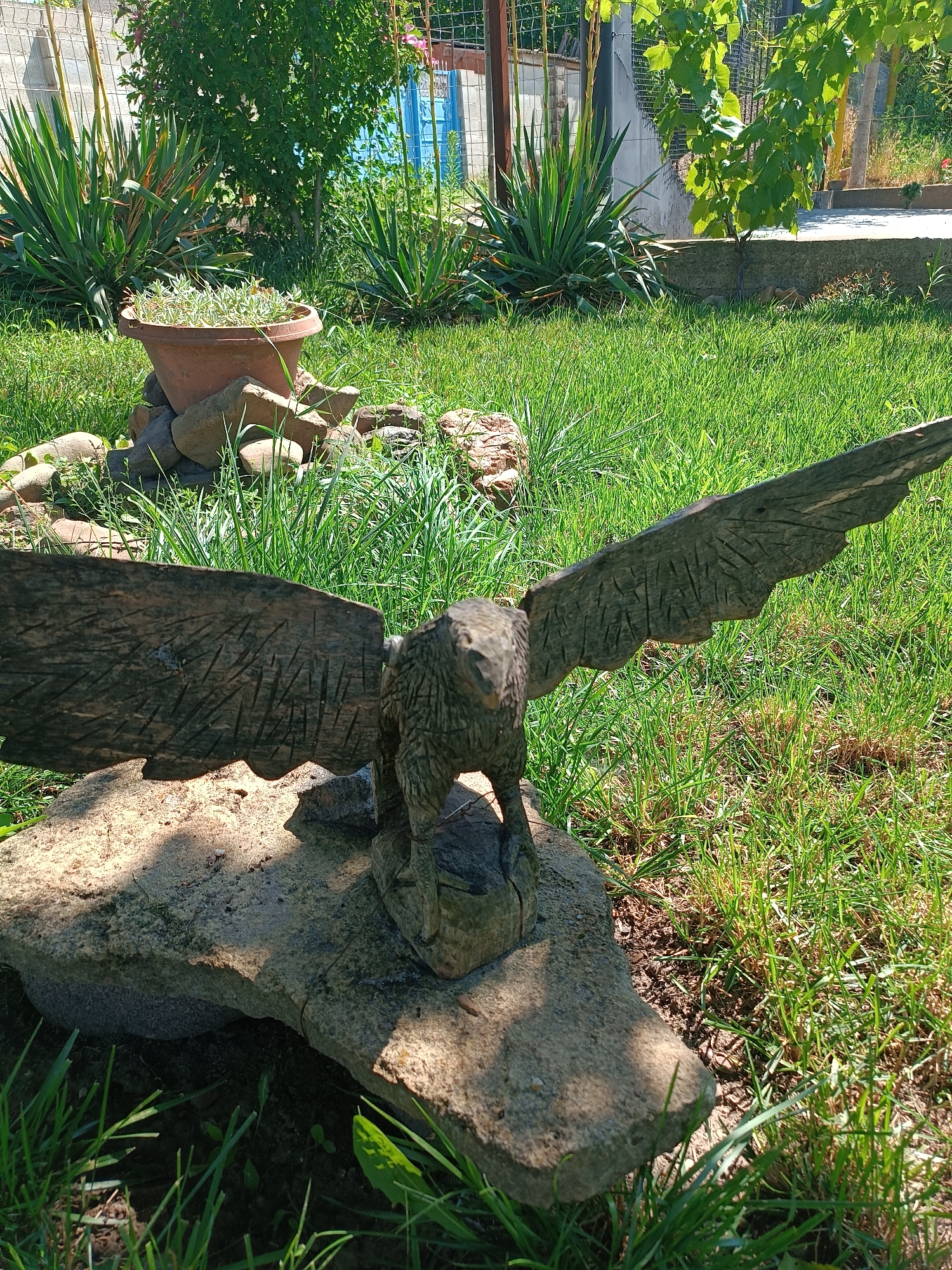 In Coșnița, Moldova, a wooden carved eagle statue with spread wings is positioned on a large, flat stone in a grassy yard. The eagle is weathered and detailed, with individual feathers suggested by carved lines. The stone it rests on is a light tan color with dark grey speckles and sits slightly embedded in the earth. Behind the eagle, a terracotta pot filled with green and white variegated plants is visible, supported by a ring of rounded river stones. The yard is covered in lush green grass, with sunlight casting dappled shadows across the scene. In the background, several spiky, green plants, possibly yucca, grow near a wire fence. Further back, a stone wall and some leafy green vines are visible, along with parts of a building and a blue gate. The overall impression is a garden setting on a sunny day.