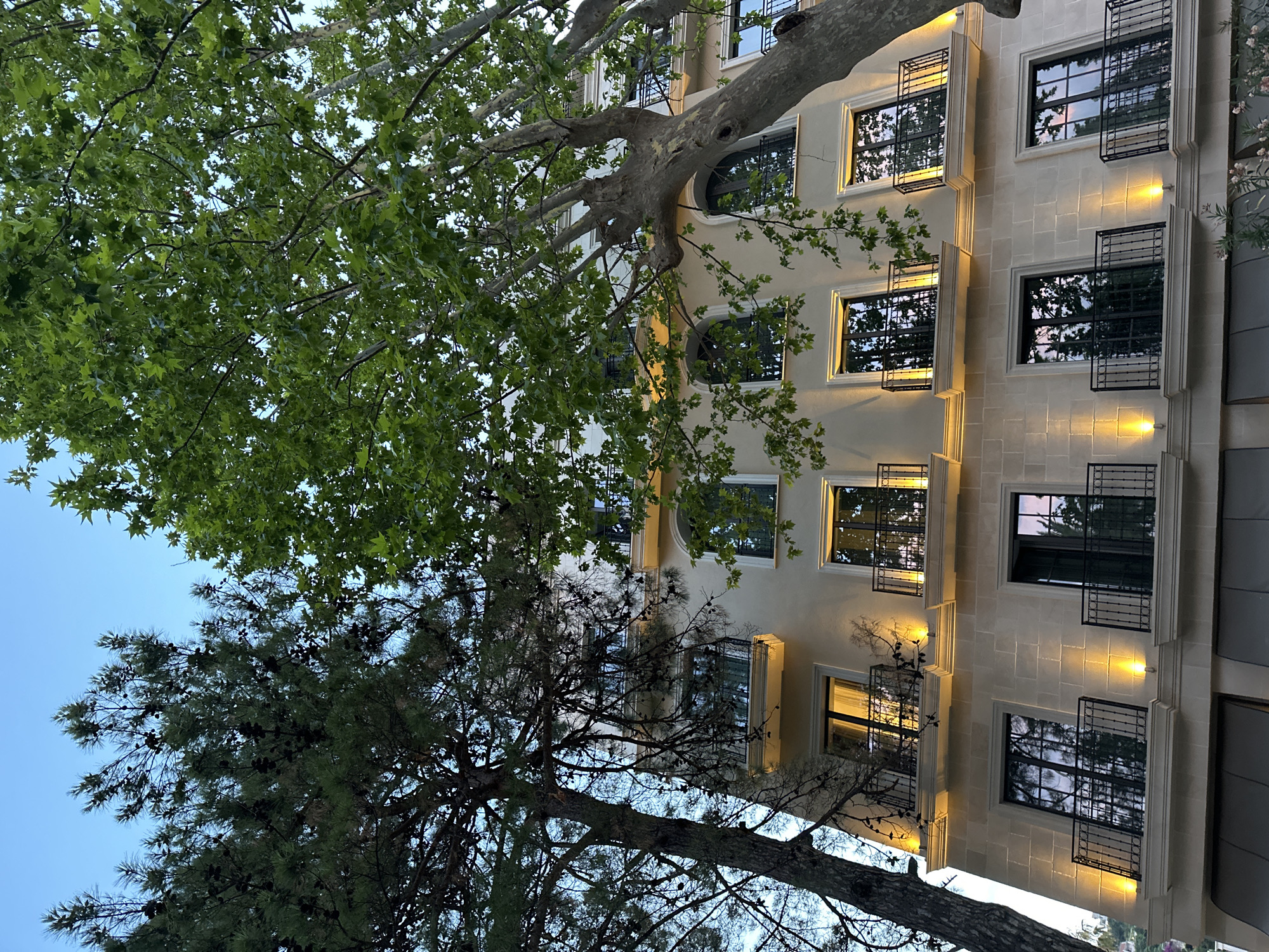 This image shows a section of a cream-colored building facade with multiple windows and balconies, set against a twilight sky. The building is constructed with large, light-colored stone blocks. Each floor features several dark-framed windows, some of which are illuminated from within, casting a warm glow. Many windows are French doors leading to wrought-iron balconies with decorative railings. Exterior lights are strategically placed on the facade, illuminating the stone and the balconies.
In the foreground and to the left, a tall pine tree with dark needles and numerous pinecones leans towards the building. To the right and in the upper portion of the image, a large tree with broad green leaves, likely a plane tree, extends its branches over the building. The leaves of this tree are dense, obscuring some of the upper floors. Reflections of the sky, trees, and building lights are visible in the glass of the windows.
The setting appears to be an upscale urban environment, possibly a hotel or residential building, situated in Budva, Montenegro. The presence of mature trees suggests a well-established area with a blend of architecture and nature. There are no people visible in the image, and no actions or interactions are depicted. The environment is characterized by the building's architecture, the surrounding trees, and the soft lighting indicative of dusk.