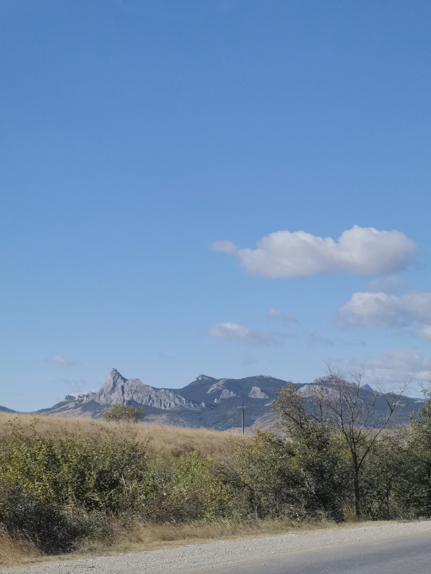 A panoramic view of the Crimean Mountains near Koktebel, Ukraine, under a clear blue sky dotted with fluffy white clouds. In the foreground, a gravel road curves alongside dense, low-lying green and brown vegetation. Behind the foliage, the golden-brown fields stretch towards the majestic mountain range. The mountains themselves are rugged and rocky, with sharp peaks and visible geological formations. The scene is bathed in natural daylight, suggesting it was captured during the daytime. No people or animals are visible in the frame.