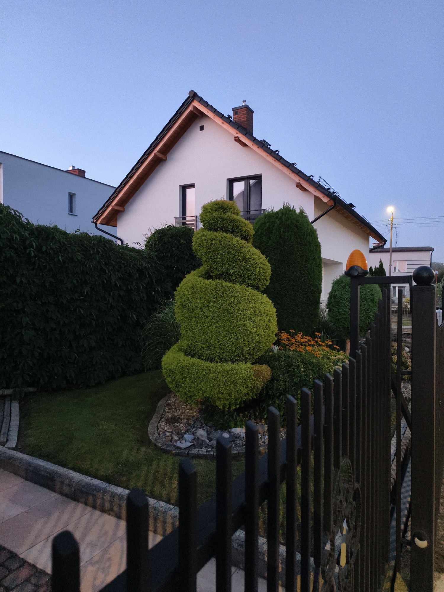 The image shows a well-maintained front yard of a residential property at twilight in Tczew, Poland. The main focus is a white house with a dark roof and visible wooden roof beams. In the yard, a meticulously sculpted spiral evergreen bush is prominent, situated in front of other green bushes and a flower bed with orange flowers. A tall, dark metal fence with vertical bars is in the foreground, partially obscuring the view of the yard and street. A black ornamental gate is visible on the right side of the fence. To the left, a dark green hedge forms a boundary. The sky is a clear, pale blue, indicating the early evening. A streetlamp with a warm yellow glow is visible in the background, along with another house. The scene conveys a sense of quiet domesticity.