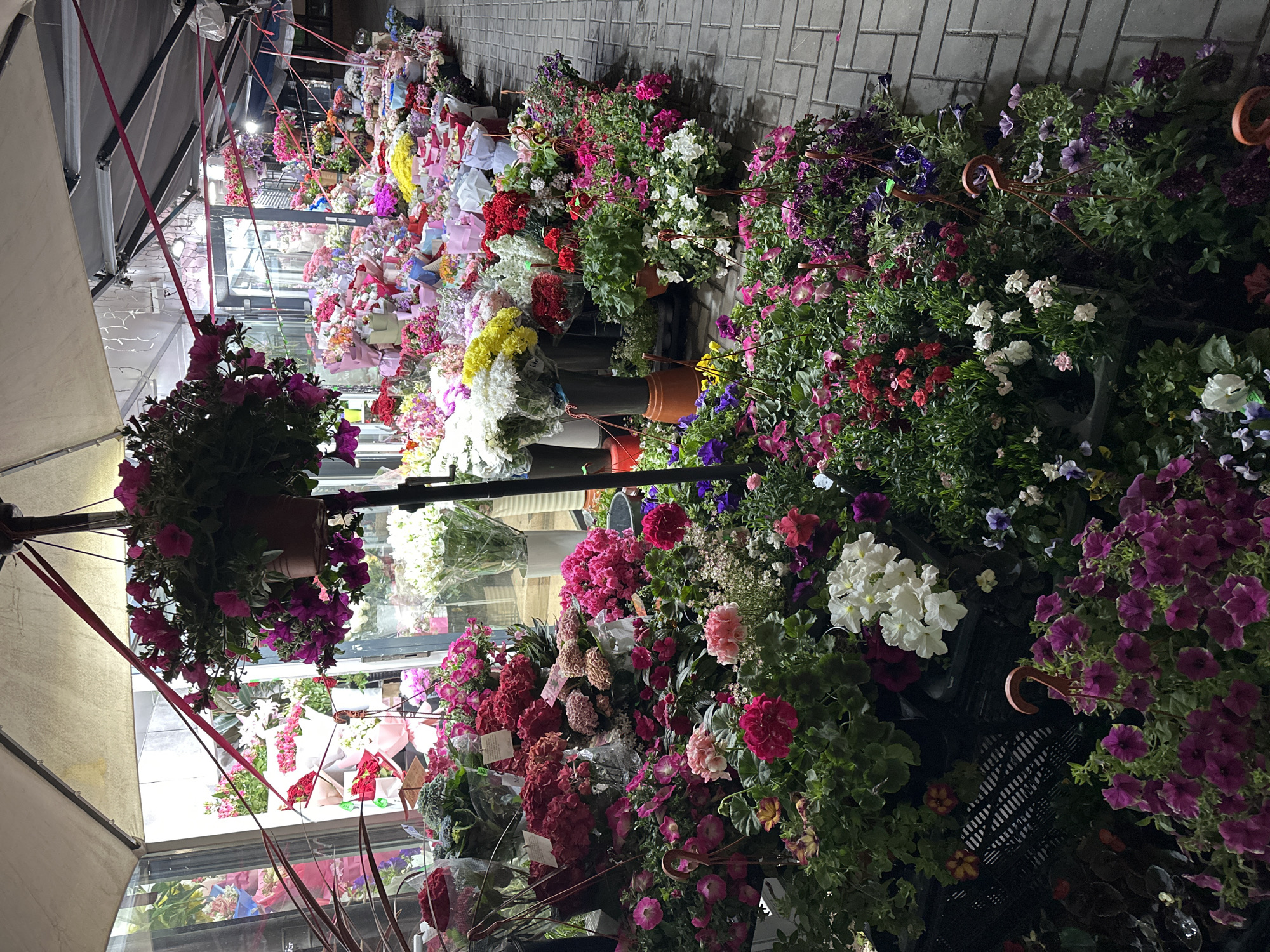 The image shows a flower shop or stall in an urban environment, specifically in the city of Unknown, Unknown. The stall displays a wide variety of flowers in pots and bouquets, arranged along a brick-paved walkway. The flowers include different colors such as red, white, pink, yellow, and purple. Some are displayed as single flowers in pots, while others are arranged in bouquets. Above the stall, there is a canvas canopy or awning, supported by poles and secured with red cords. The inside of the shop shows more flowers and floral arrangements.