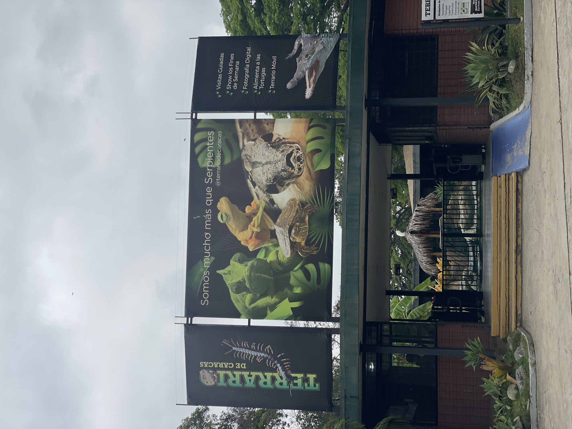 This image depicts the main entrance of the Terrario de Caracas (Terrarium of Caracas) under an overcast sky. The facility is identified by three large black banners suspended above a two-story brick and dark-framed building. The leftmost banner vertically displays "TERRARIO DE CARACAS" alongside a centipede illustration. The central banner features the slogan "Somos mucho más que Serpientes" (We are much more than Snakes) and the social media handle "@terrariodecaracas," illustrating a chameleon, a frog, a turtle, and a snake's head. The rightmost banner lists services such as "Visitas Guiadas" (Guided Visits) and "Terrario Móvil" (Mobile Terrarium), accompanied by an illustration of a crocodile's open jaw.
The entrance area includes a set of yellow-painted concrete stairs and an adjacent blue-painted accessibility ramp. Beyond the entrance, a black metal gate leads into the facility. Inside, a structure with a thatched roof is visible, upon which a white bird perches. The immediate environment features manicured landscaping with various tropical plants, succulents, and small rocks. The ground in the foreground is paved. A small, dark bird is visible flying in the upper left portion of the cloudy sky. No human figures are discernible at the entrance.