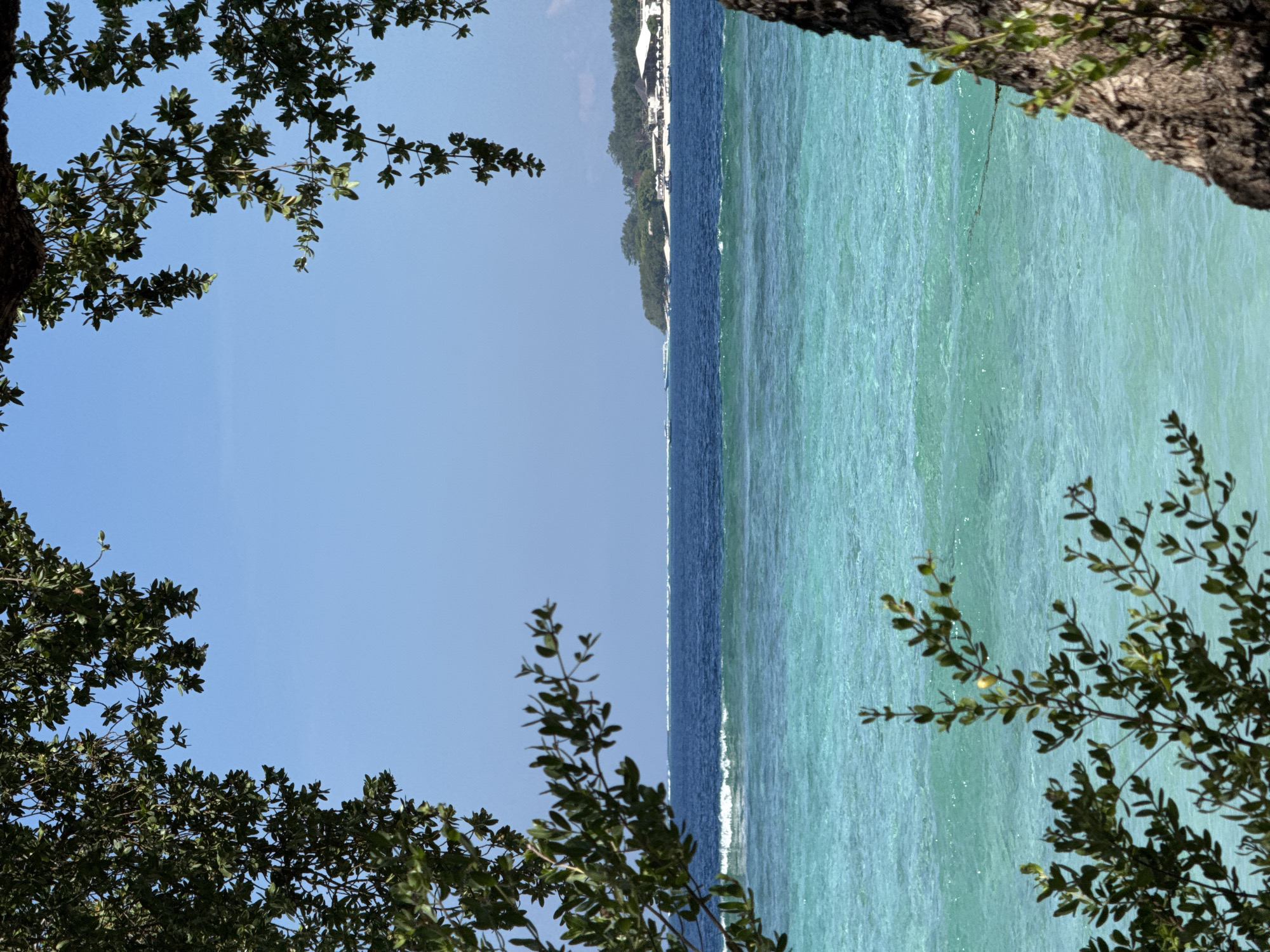 The image captures a scenic view of the ocean, likely from a coastal area in Unknown, Indonesia. The water transitions from a deep blue to a lighter turquoise, indicating varying depths. A shoreline is visible in the distance with a white beach and lush vegetation. Framing the scene are branches and foliage of trees on both sides, suggesting a natural, possibly tropical setting. The sky is clear and blue, contributing to the overall serene and inviting atmosphere.