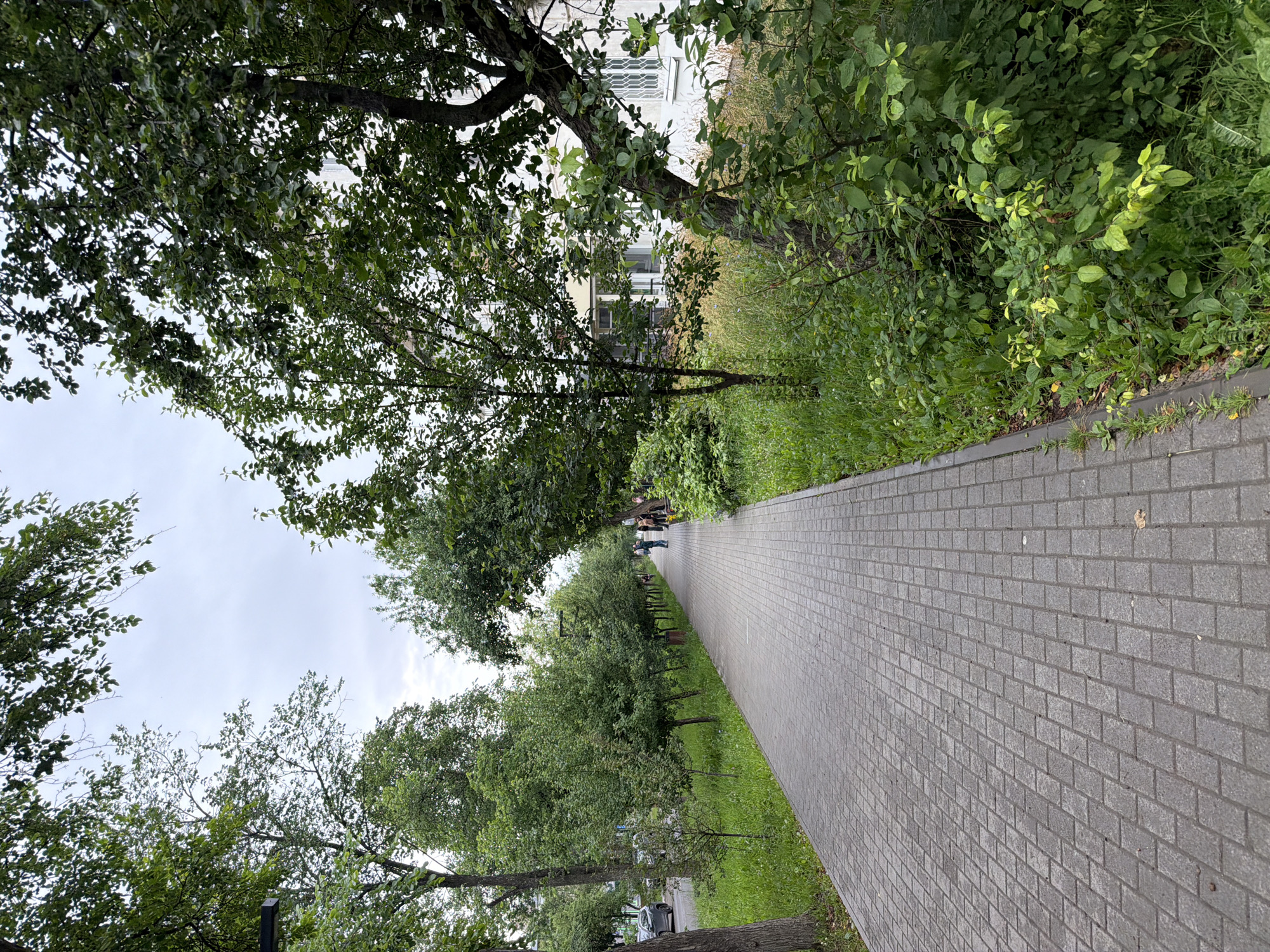 A pedestrian walkway made of gray paving stones runs diagonally from the bottom left towards the center of the image, flanked by green grass and trees. On the left side of the walkway, several cars are parked on a street, and a lamppost is visible. Further down the walkway, two people are walking away from the viewer, and a few more people are visible near a bench. The walkway is lined with trees and shrubs, with a building visible in the background on the right. The sky is overcast. The scene is located on a tree-lined street in the city of Chaikovsky, Russia, likely a residential area.