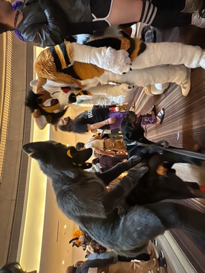 The image shows a crowd of people, including individuals in fursuits, likely at a furry convention. A black wolf fursuit is prominent in the foreground. Behind the wolf are other fursuits and attendees, some in casual attire. The background indicates an indoor location, possibly a hotel or convention center, given the carpeted floor and architectural features such as the decorative wall paneling. The event seems to be taking place in Atlanta, United States.