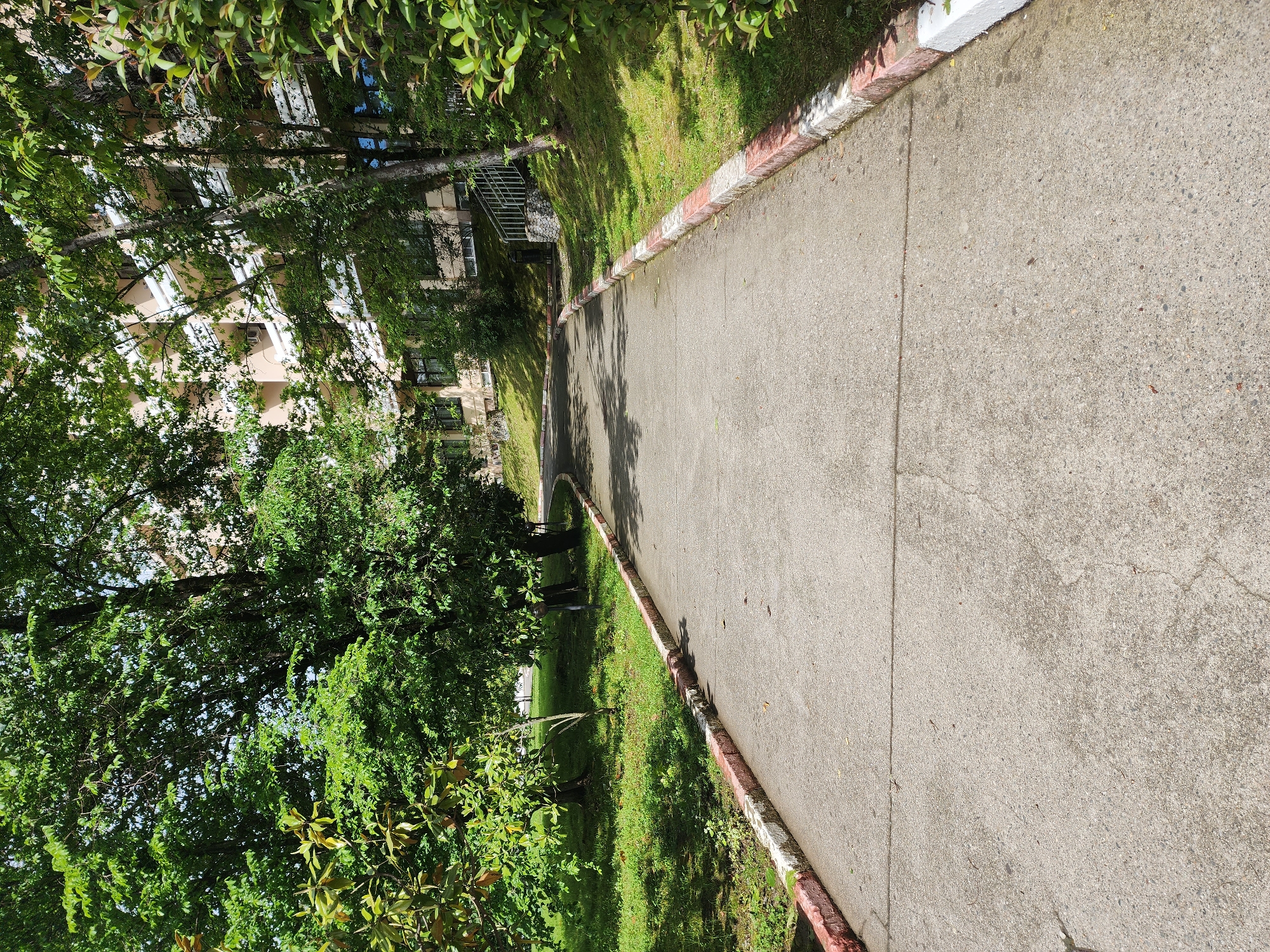 The image depicts a concrete pathway in Sochi, Russia, bordered by a red and white painted curb. To the left of the path, lush green trees and foliage partially obscure a multi-story building with light-colored facades and white-framed windows. Shadows of trees are cast onto the pathway, which appears to be slightly cracked in places. The scene suggests a park or landscaped area alongside a building within the urban environment of Sochi.