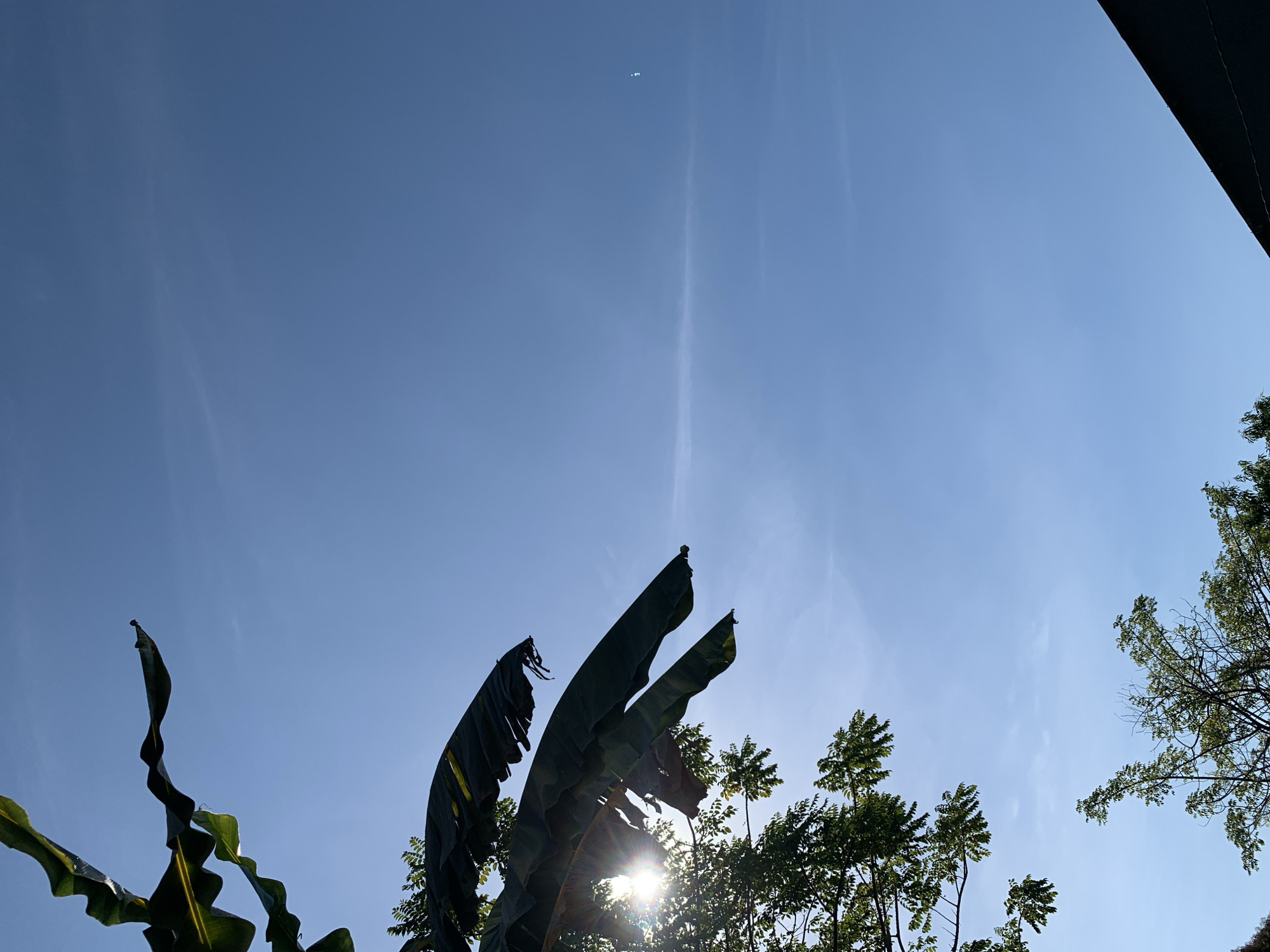 The image captures a bright, clear blue sky with a few wispy clouds, typical of Makassar, Indonesia. In the foreground, large, dark green banana leaves are silhouetted against the sky, with the sun shining through them and creating a lens flare. To the left, the branches of a tree with dense green foliage are visible. At the bottom right, the dark roof of a building is partially visible. The overall scene suggests a sunny day outdoors, likely in a tropical or subtropical environment.