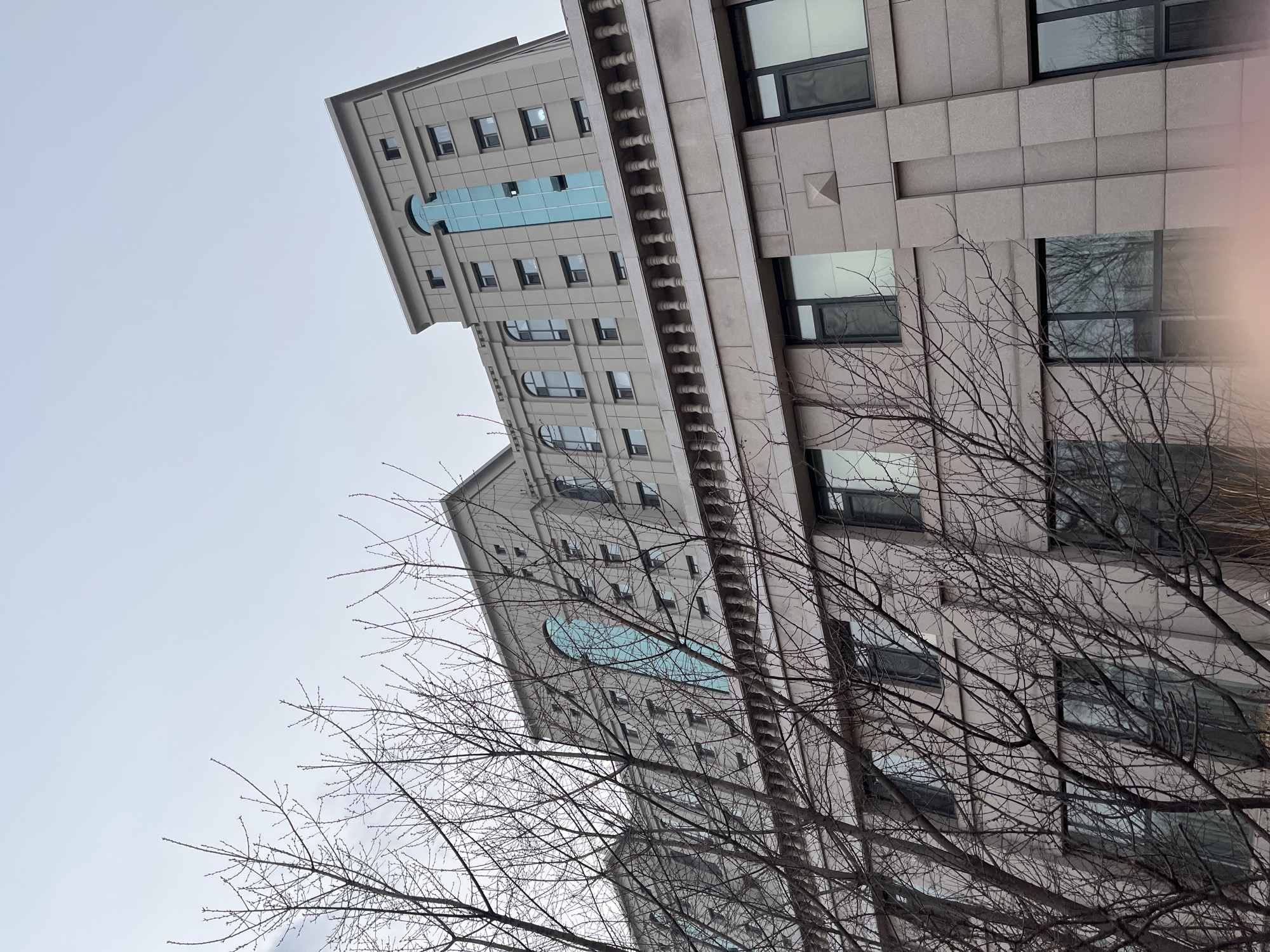 The image shows a low-angle view of two tall buildings in Changchun City, China. The buildings are clad in light-colored stone or concrete. One building has a vertical blue glass feature, and both have rows of windows. Bare tree branches are in the foreground, partially obscuring the buildings. The sky is overcast and gray. The overall impression is urban and somewhat bleak.