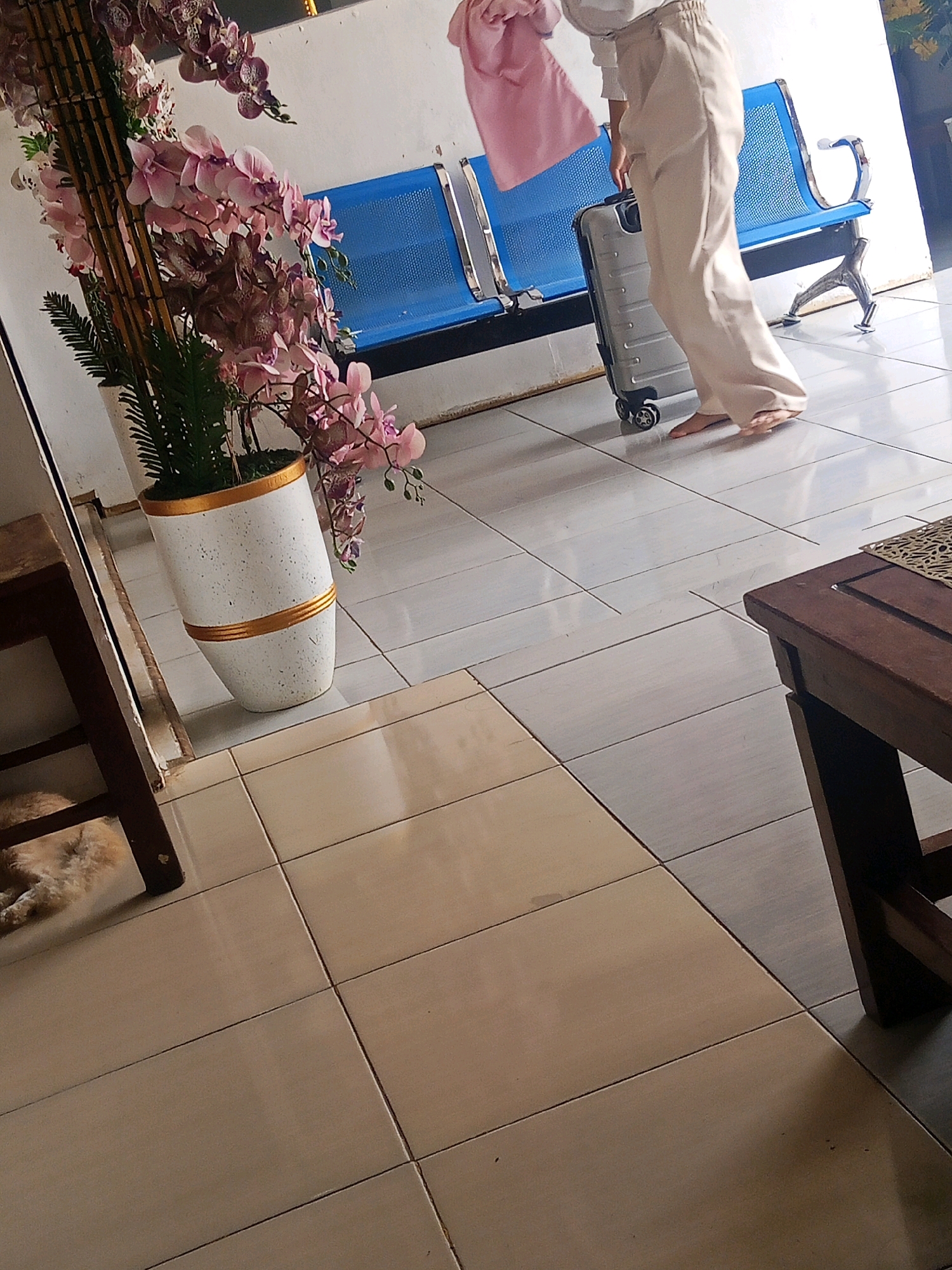 A person, with their legs and lower torso visible, is standing next to a silver suitcase with black wheels. They are wearing cream-colored pants and are holding a pink garment in their right hand. The person is barefoot. Behind them, a blue bench with a perforated metal seat is visible. In the foreground left, a decorative plant with pink and purple orchids in a white and gold pot is situated near a dark wooden table. To the left of the table, a light-colored animal, possibly a cat, is lying down. The floor is tiled with a pattern of light-colored squares. The scene appears to be indoors, possibly a waiting area or public space. This location is in the city of Lubuklinggau, Indonesia.