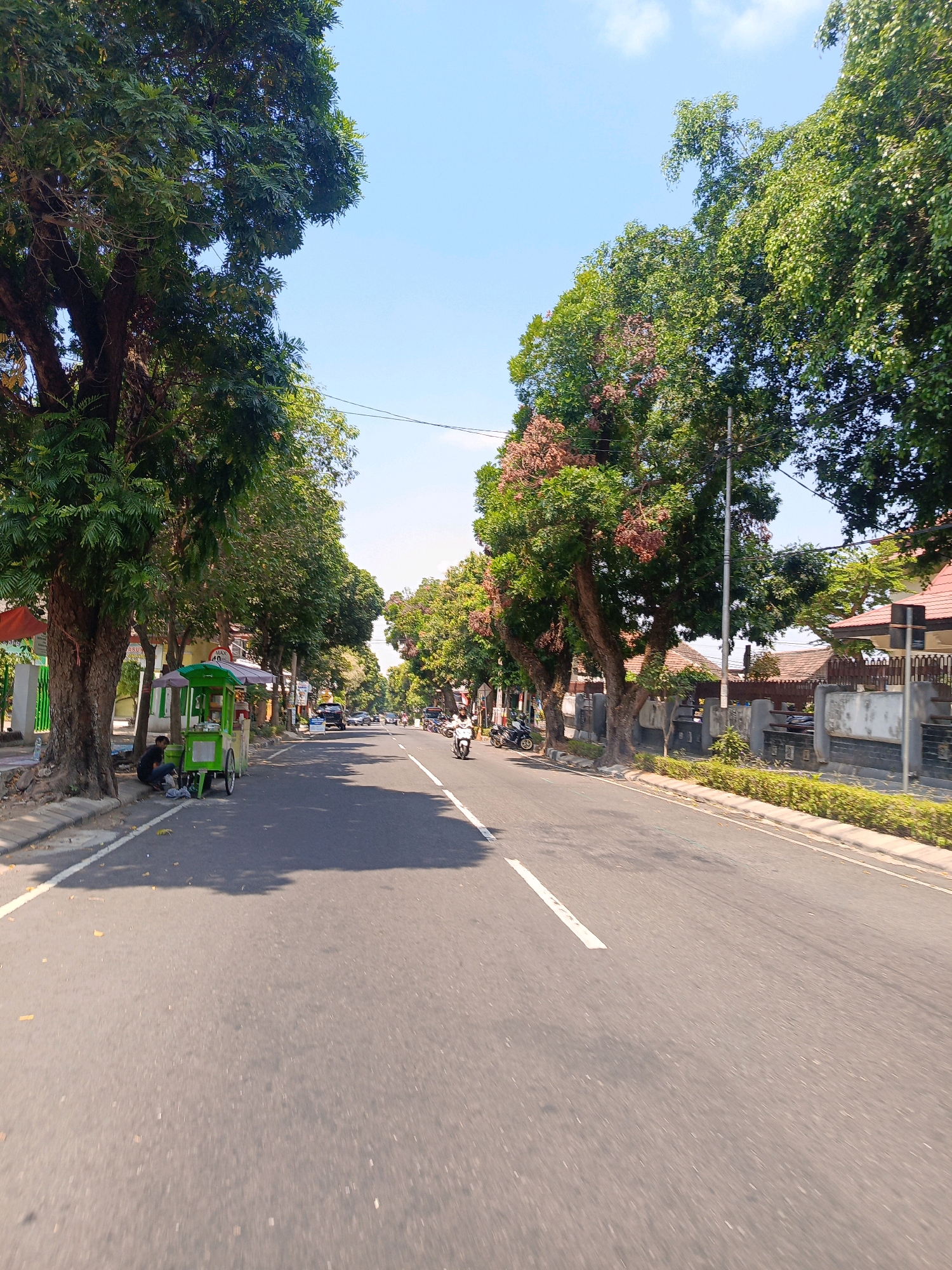 This is a street-level, eye-level, full-shot photograph of a paved road lined with mature trees on both sides. The road is asphalt and has a white dashed line marking the center lane. On the left side of the road, there is a sidewalk with a few people sitting near a green food cart. There are also several parked vehicles and some vegetation along the sidewalk. The right side of the road features a row of houses with tiled roofs and fences, also with trees and landscaping. In the distance, more trees and buildings are visible, suggesting a suburban or semi-urban environment. The sky is clear and blue with a few wispy clouds, indicating a sunny day. The overall impression is a well-maintained street in a tropical or subtropical climate. Based on the architecture and vegetation, the location is likely in Indonesia, possibly Magetan, given the context.