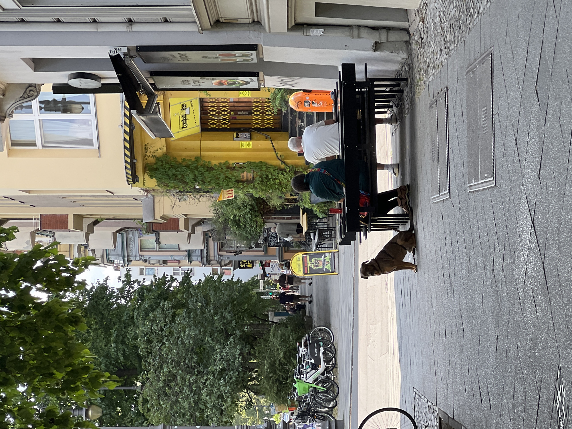 The image depicts a street scene in Berlin, Germany. In the foreground, a brown dog sits on a patterned paved sidewalk, looking towards the camera. Behind the dog, a black bench faces away from the viewer, occupied by two people: a woman in a dark green jacket and a man in a white t-shirt. To their right, an orange trash receptacle with stickers is visible.
The background features a building with a bright yellow facade, featuring an awning and various signage. One sign, in yellow, reads "Zyankali Bar." Another sign, with a black circular logo, is mounted higher on the building. Further down the street, trees line the sidewalk, and several bicycles are parked. People can be seen walking in the distance. The architecture suggests an urban European setting, consistent with Berlin. The lighting indicates it is daytime, likely late afternoon or early evening, with soft shadows.