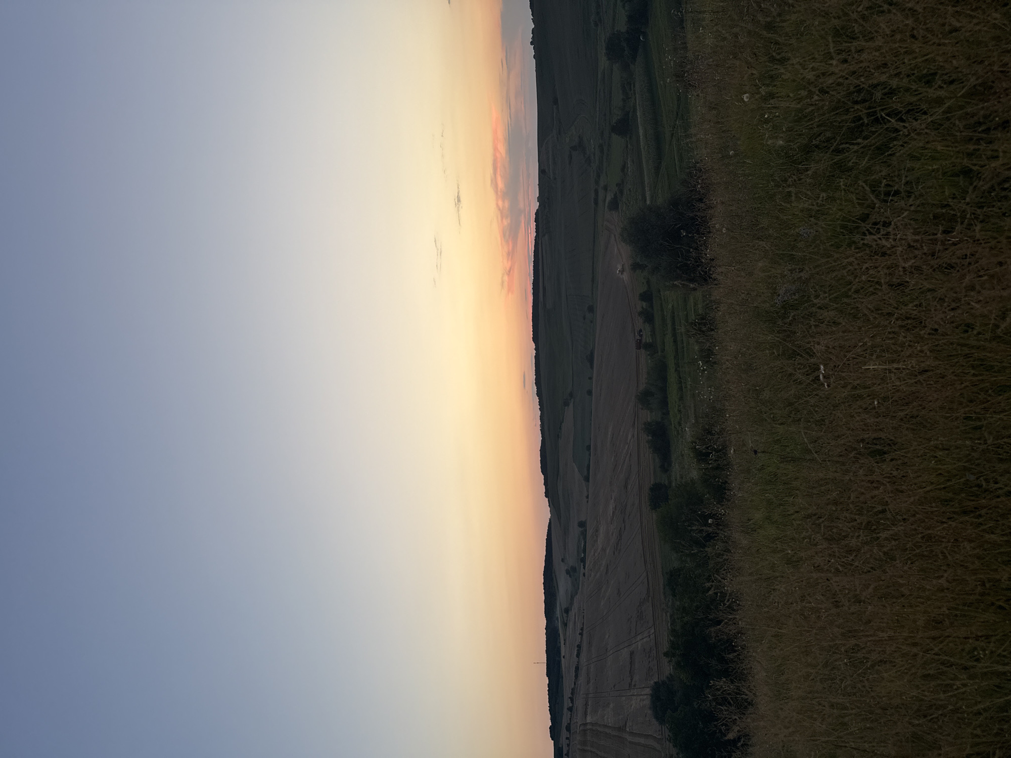 An outdoor, wide-angle shot captures a rural landscape during what appears to be sunset. The sky is a gradient of soft blues and oranges, with a band of pinkish clouds near the horizon. The land below is divided into fields, some of which are stubbled with harvested crops, while others are green. Trees dot the landscape, forming small clusters and a line along the distant hills. In the foreground, tall, dry grass dominates the lower portion of the frame, obscuring the ground. In the mid-ground, a red tractor is visible, suggesting agricultural activity. The overall impression is one of a peaceful, natural setting at dusk.