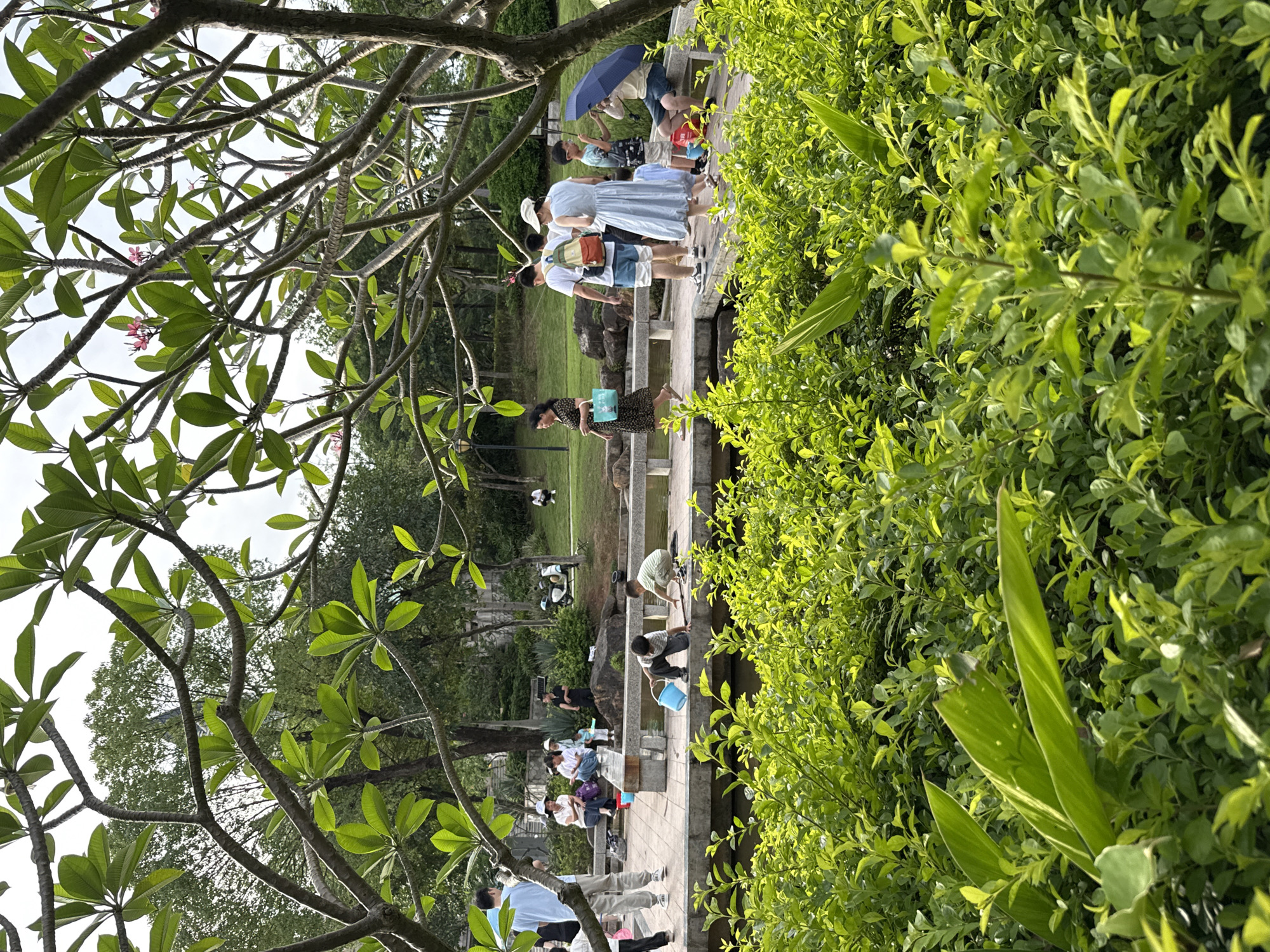 A daytime, medium shot captures a lush, green park environment in Huizhou, China. In the foreground, dense, vibrant green bushes and large, pointed leaves create a natural frame. Beyond this foliage, a paved pathway stretches across a body of water, with a concrete railing. Several people are visible on and around this pathway.
To the left, a man wearing a light blue t-shirt and grey pants stands facing away from the camera, looking towards the water. Two young boys are near the railing, one kneeling with a blue bucket and the other crouched down. Further along the pathway, a woman in a dark floral dress walks to the left, carrying a patterned tote bag. A group of people, including a woman in a white hat and light blue dress, a man with a backpack, and a child in a blue shirt, are walking to the right. A man in a light blue t-shirt and shorts walks in the same direction, holding a blue umbrella. To the far right, a person sits on the railing under the umbrella.
In the background, more trees and greenery are visible, with glimpses of a structure. The overall scene depicts a relaxed, outdoor gathering with people enjoying the park.