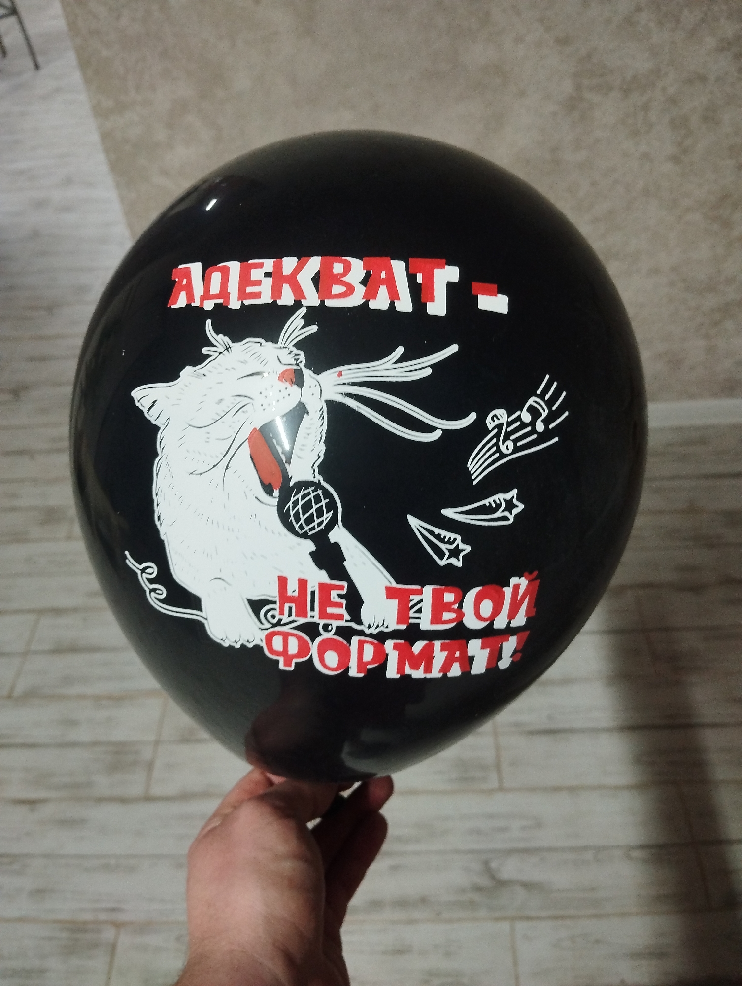 A black balloon is held by a person. The balloon has a graphic of a white cat singing into a microphone. Above the cat is the word "АДЕКВАТ" and below the cat is the phrase "НЕ ТВОЙ ФОРМАТ!" in red and white lettering. The background is a wall and a wooden floor. The location is Grishanki, Russia.