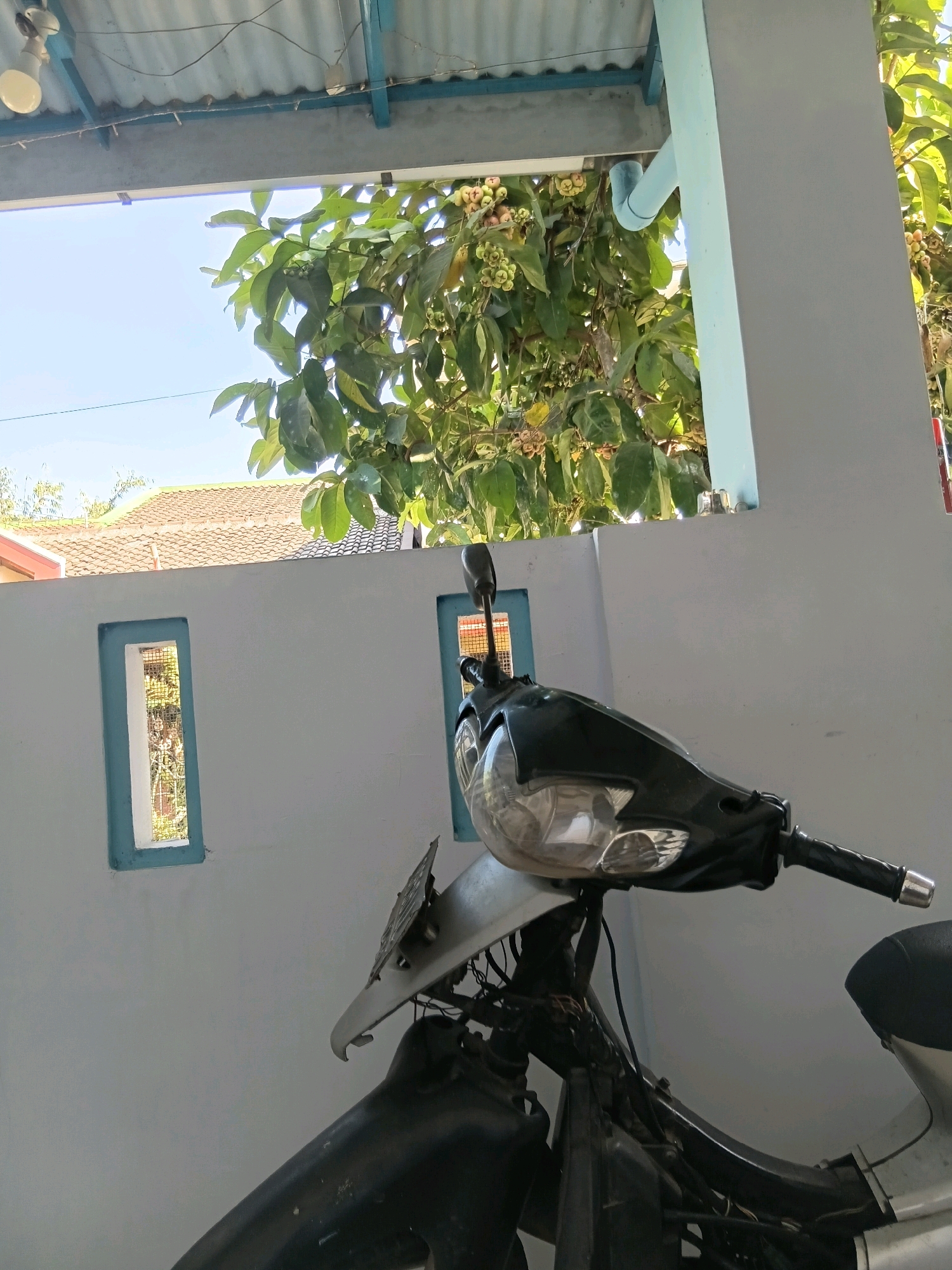A motorcycle is parked under a roofed overhang. The motorcycle is mostly black and silver, with its front headlight visible. Behind the motorcycle, there is a light blue and gray wall with two narrow, rectangular windows. Through the windows, parts of a tiled roof and greenery can be seen. Above the wall and windows, a tree with green leaves and light-colored fruit is visible, along with a bright blue sky. The roof of the overhang is made of corrugated metal, and there are electrical wires and a lightbulb hanging from it. The location is identified as Tanggul Wetan, Indonesia.
