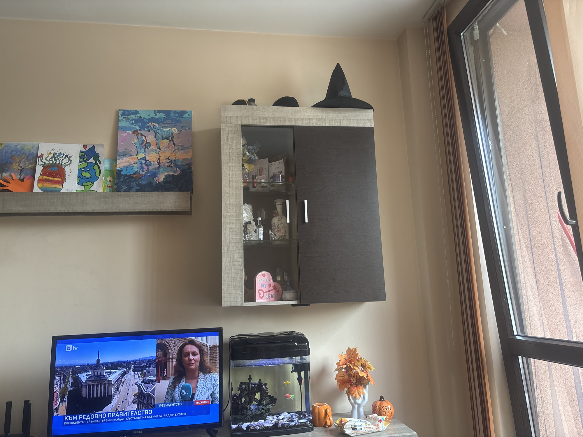 The image shows an interior scene with various objects and a television displaying a news program. The television is on, showing a broadcast with Bulgarian text and a female presenter. To the right of the television, there is a small aquarium with fish. Beside the aquarium are decorative items including a faux floral arrangement, a pumpkin, and a package of Concord sweets. Above, a wall-mounted cabinet sits, with decorative items inside and a witch hat on top. A shelf to the left holds artwork. To the right is a window with curtains. Based on the Bulgarian text displayed on the television and the objects present, it is likely the image was taken in Bulgaria. The location is not specified in the image and cannot be assumed to be Plovdiv.