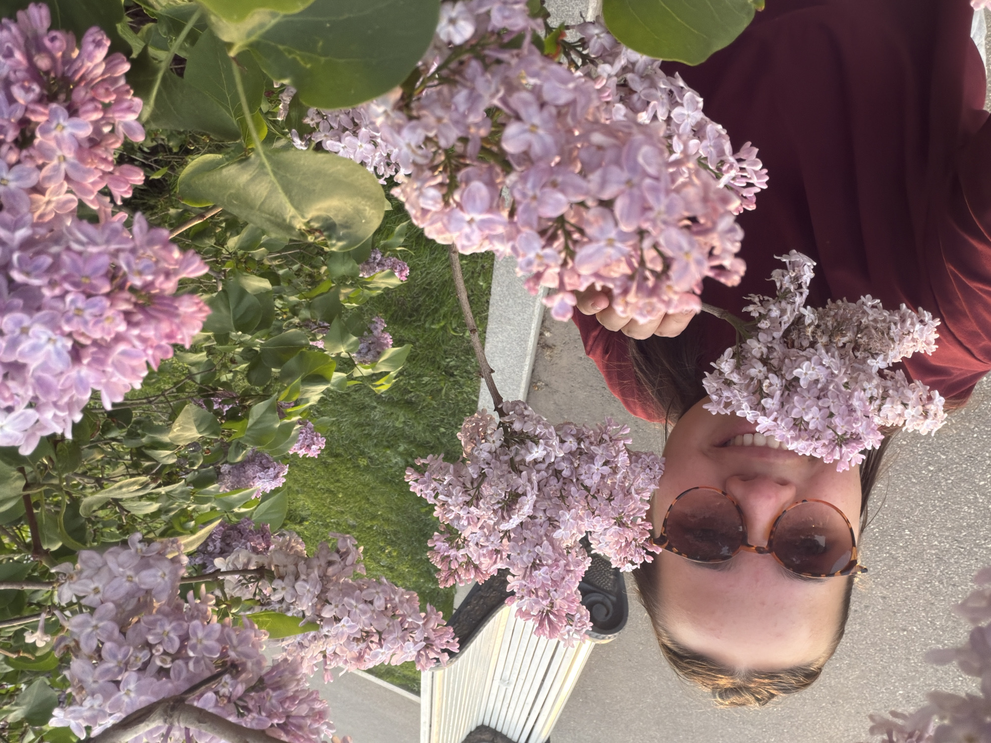 A woman with sunglasses, wearing a dark red shirt, is holding purple lilacs in front of her face. The scene includes numerous lilac bushes with flowers, some greenery, a park bench, and what appears to be a paved walkway. Based on the presence of lilacs and the architecture style, the location is likely a park in Moscow, Russia.