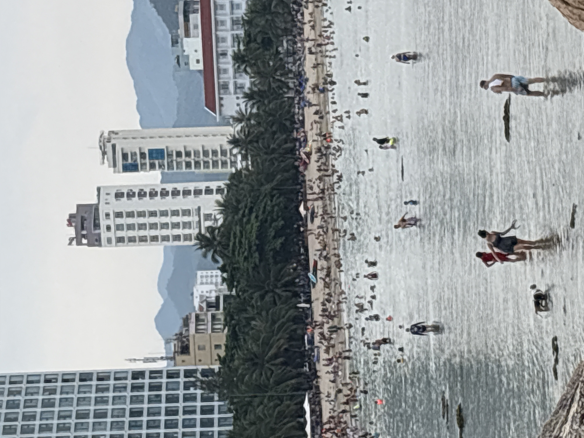 The image shows a crowded beach in Bac Nha Trang Ward, Vietnam. Palm trees line the beach between high-rise buildings and the shore. Many people are on the beach and in the water. In the background, there are mountains.