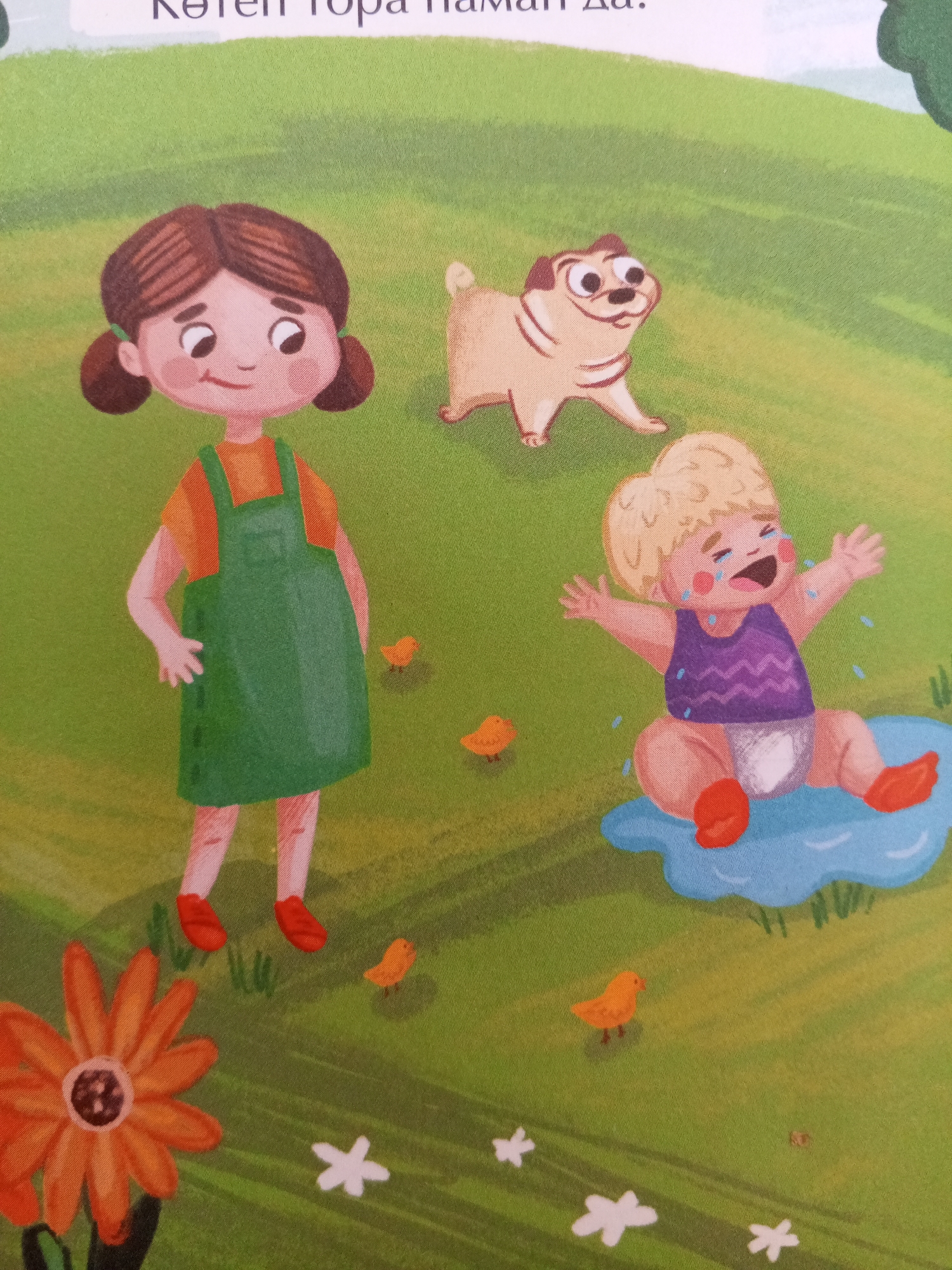 The image is a colorful illustration depicting a grassy outdoor scene with a large orange flower in the foreground on the left. In the background, a young girl with brown pigtails, wearing an orange shirt and a green overall dress, stands on the left side. To her right, a tan pug dog with large eyes is looking upwards. Further to the right, a baby with blonde hair and a purple top, wearing a diaper and red shoes, is crying and sitting in a blue puddle. Several small orange chicks are scattered throughout the grass, and white star-shaped flowers are also present. The overall environment is a green, rolling hill under a bright sky. There is no discernible connection to the city of Chistopol, Russia, within the visual content of the image.