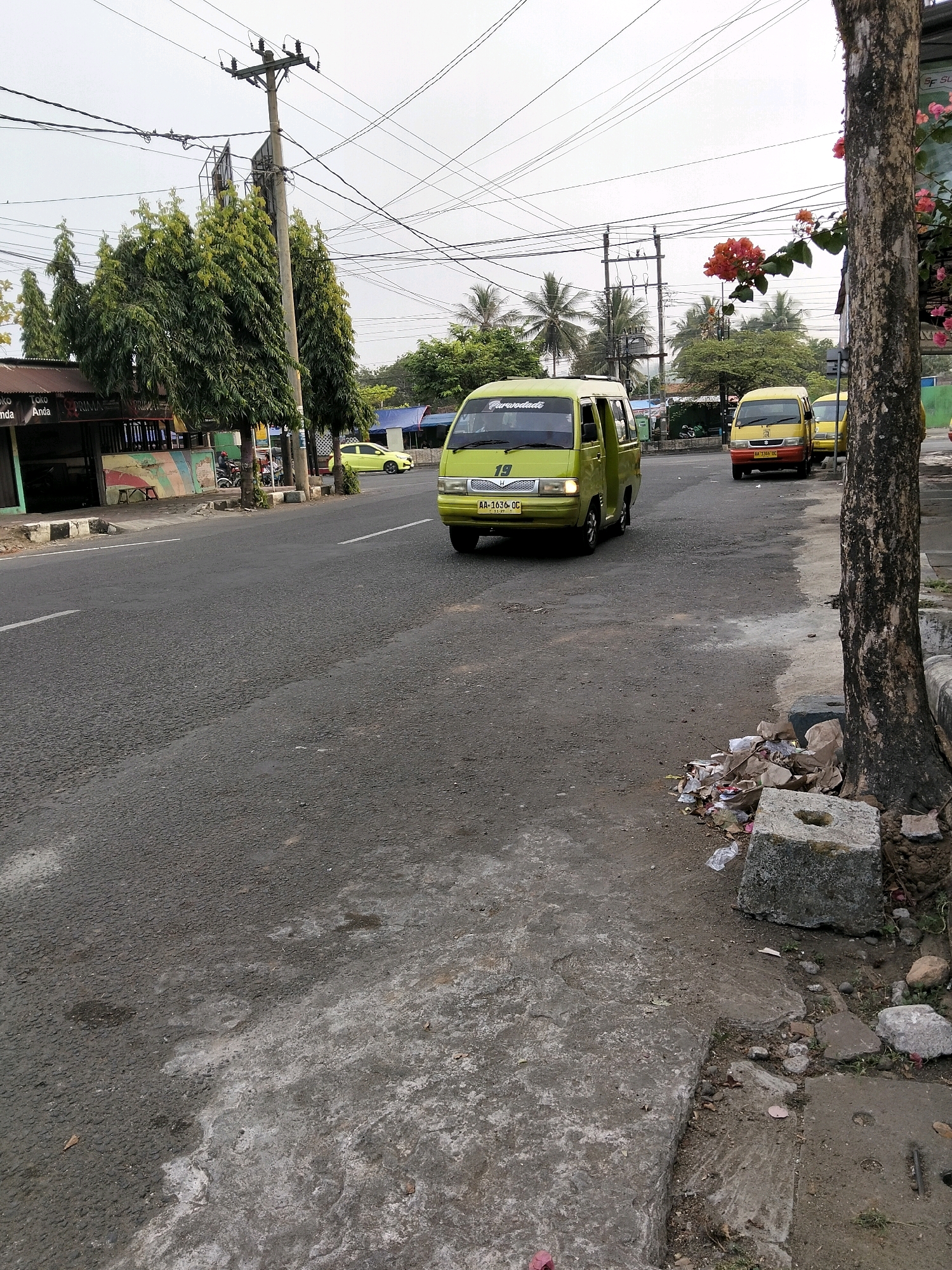 A bright green minivan is driving on a street in Purworejo, Indonesia. The minivan has the number "19" on its front grille and appears to be a passenger van, based on its shape and windows. It is traveling in the right lane of a two-lane road. In the background, there are other vehicles, including a yellow passenger van and a yellow car, also on the road. Palm trees and utility poles are visible along the side of the street, and buildings can be seen in the distance. The sky is overcast. On the right side of the street, there is a sidewalk with a tree, some debris, and a concrete block. The road surface appears to be asphalt.