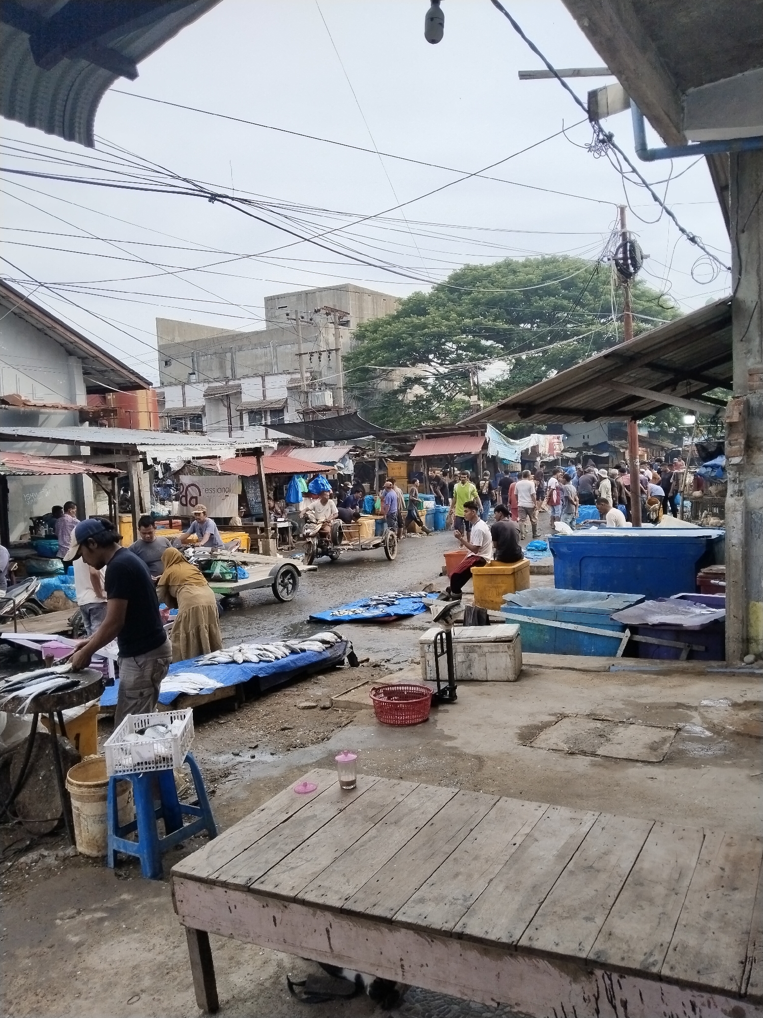 The image depicts a busy outdoor fish market in Lhokseumawe, Indonesia, with a clear focus on the commercial activities and surrounding environment. The scene is characterized by a multitude of stalls, temporary shelters, and open-air displays of seafood. Numerous individuals, both vendors and customers, are engaged in various transactions and daily routines.
Prominently in the foreground, a man in a black t-shirt and cargo shorts is seen preparing fish on a large circular cutting board. Adjacent to him, a blue plastic stool supports a white plastic crate filled with more fish. Nearby, a wooden table, weathered and worn, occupies a significant portion of the foreground, with a small glass and a pink lid resting on its surface.
The market floor is a mix of concrete and packed dirt, wet in places, suggesting recent activity or a damp environment. Various containers, including large blue and white plastic ice chests, are scattered throughout the scene, indicating storage and preservation methods for the fish. Baskets and buckets are also visible, used for carrying and displaying goods.
In the mid-ground, the market stretches further, with more stalls and a variety of people. Some individuals are seen tending to their wares, while others are inspecting or purchasing fish. A few carts and a motorcycle with a sidecar are present, likely used for transport of goods within the market or for delivery. One cart is loaded with what appears to be more fish, covered with a blue tarp.
The background reveals the urban setting of Lhokseumawe, with buildings of varying architectural styles, some appearing to be commercial structures and others more residential. Overhead, a dense network of electrical wires crisscrosses the sky, a common feature in many urban environments. Large, leafy trees can be seen behind the market structures, indicating some presence of greenery within the city. The sky is overcast, suggesting potentially cloudy or rainy weather.
The overall impression is one of a vibrant, working market, alive with the hustle and bustle of daily commerce. The forensic description focuses on the objective elements of the scene, highlighting the types of goods, the activities of the people, and the physical characteristics of the environment without interpretation or subjective commentary.