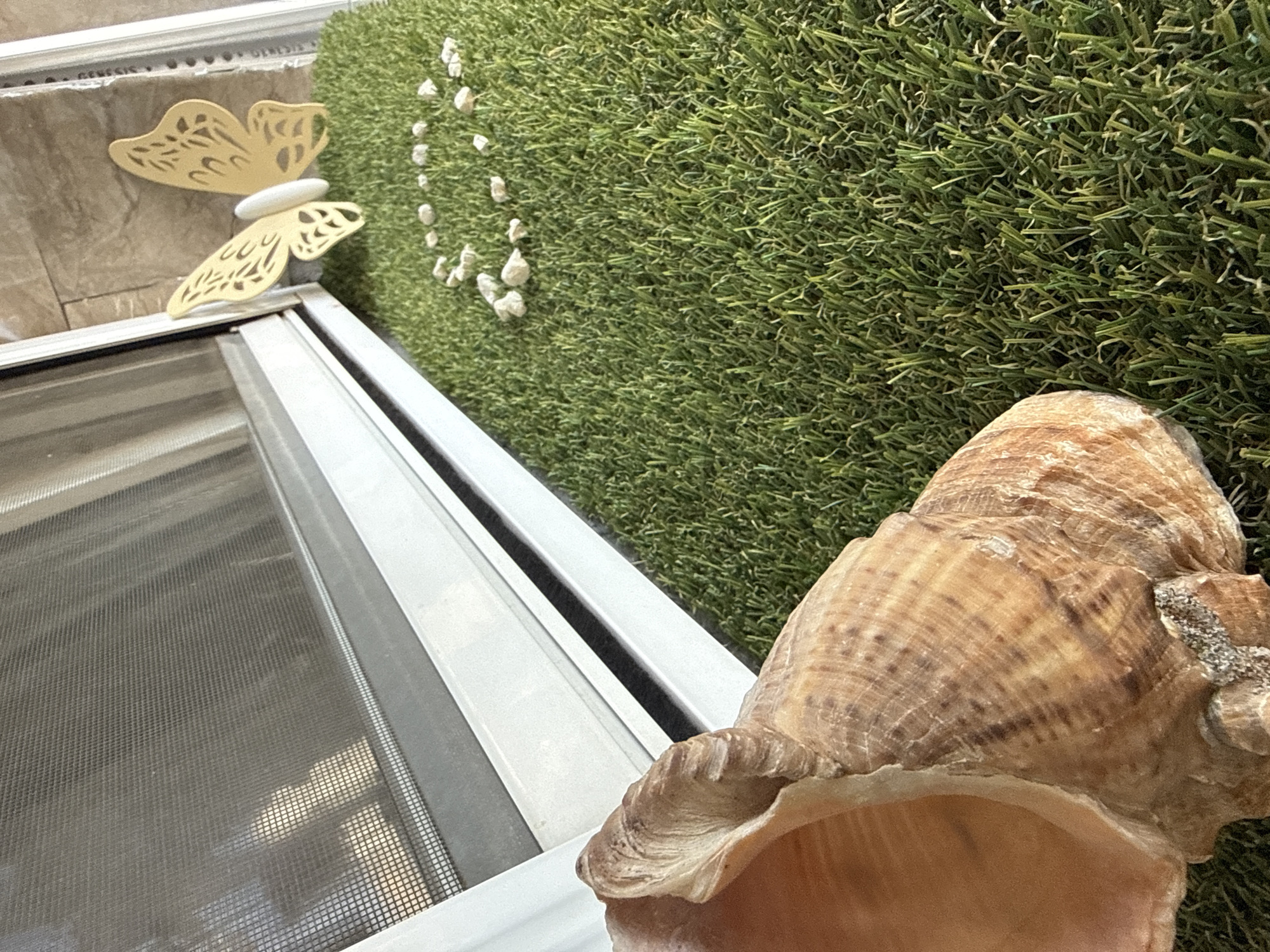 The image depicts a close-up view of a decorative arrangement on a patch of artificial grass, possibly a balcony or window sill. In the foreground, a large, light brown conch shell is prominently placed. To the right of the shell, on the artificial grass, are scattered small, light-colored pebbles. Further to the right, a decorative yellow butterfly ornament with intricate cut-out patterns is attached to a white object. Behind the artificial grass is a white window frame with a mesh screen, and beyond that, a tiled wall. The scene is well-lit, suggesting it might be daytime. There are no people or animals present. The image does not provide any specific information or context that would allow for identification of a location within Sofia, Bulgaria.