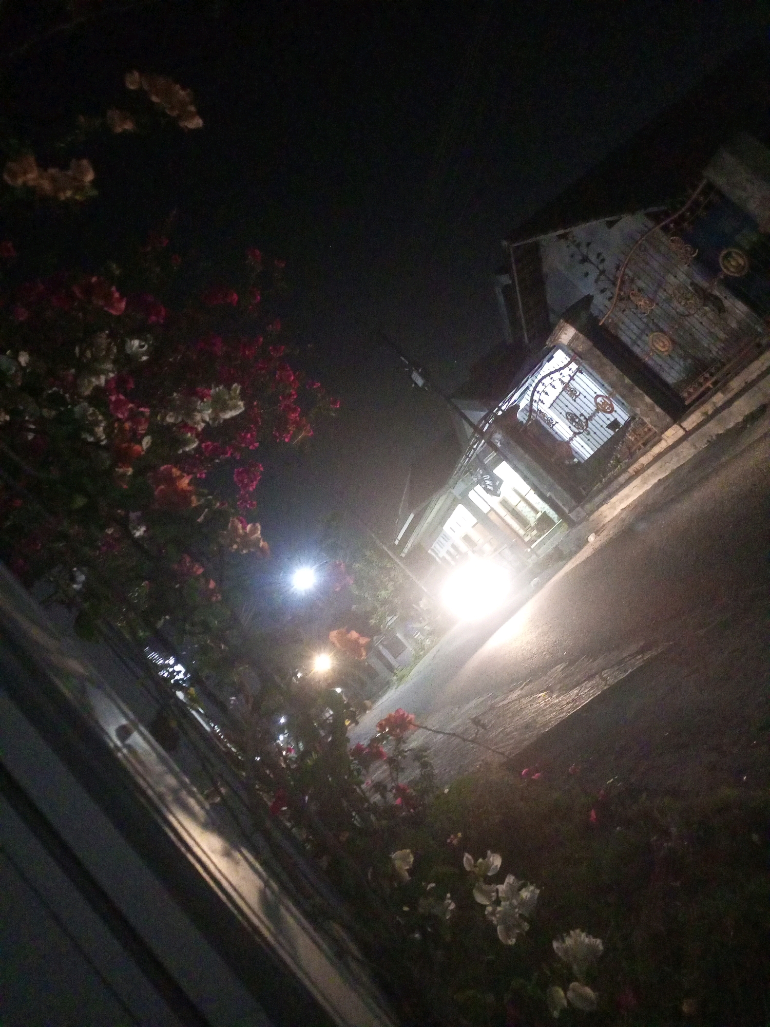 A tilted, low-light, outdoor photograph depicts a street scene at night in Ngasem, Indonesia. In the foreground and to the left, a fence made of dark, horizontal planks is visible. Beyond the fence, a dense cluster of flowering plants with red, pink, and white blooms is illuminated by artificial light. In the background, a two-story building with a dark, ornate gate is situated along a paved road. The building's windows are lit, suggesting interior activity. A bright light source, possibly a streetlight or vehicle headlights, creates a strong glare on the road and illuminates the scene, casting shadows. The overall atmosphere is dark, with the lighting creating a dramatic effect.