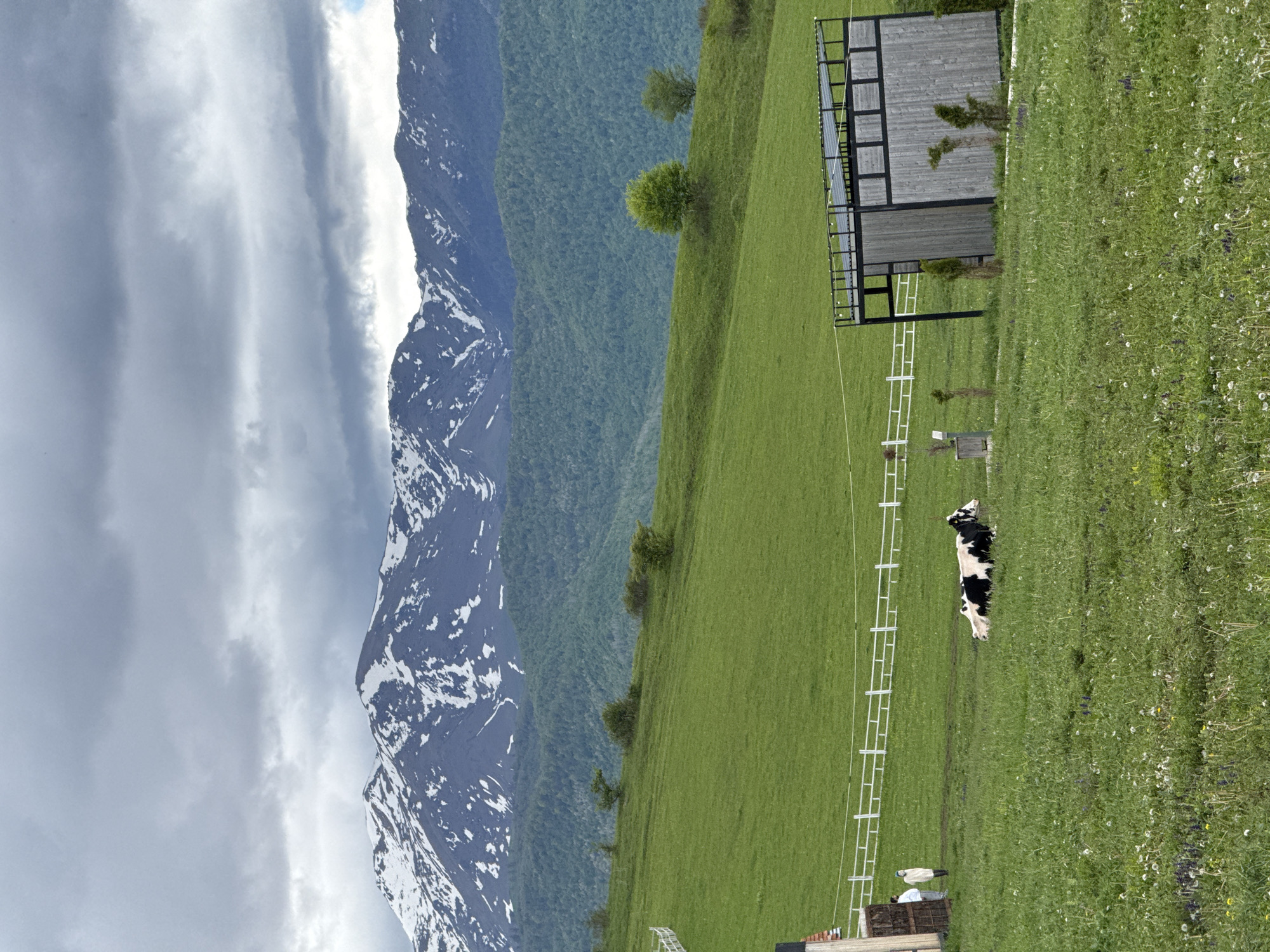A scenic view depicts a mountain range partially covered with snow under a cloudy sky, adjacent to a verdant, grassy hillside. A structure made of grey wood stands on the green hillside and a black-and-white cow is lying in the grass. A white fence runs along the hillside. The setting appears to be in a rural area, possibly Dsegh, Armenia, based on geographic context.