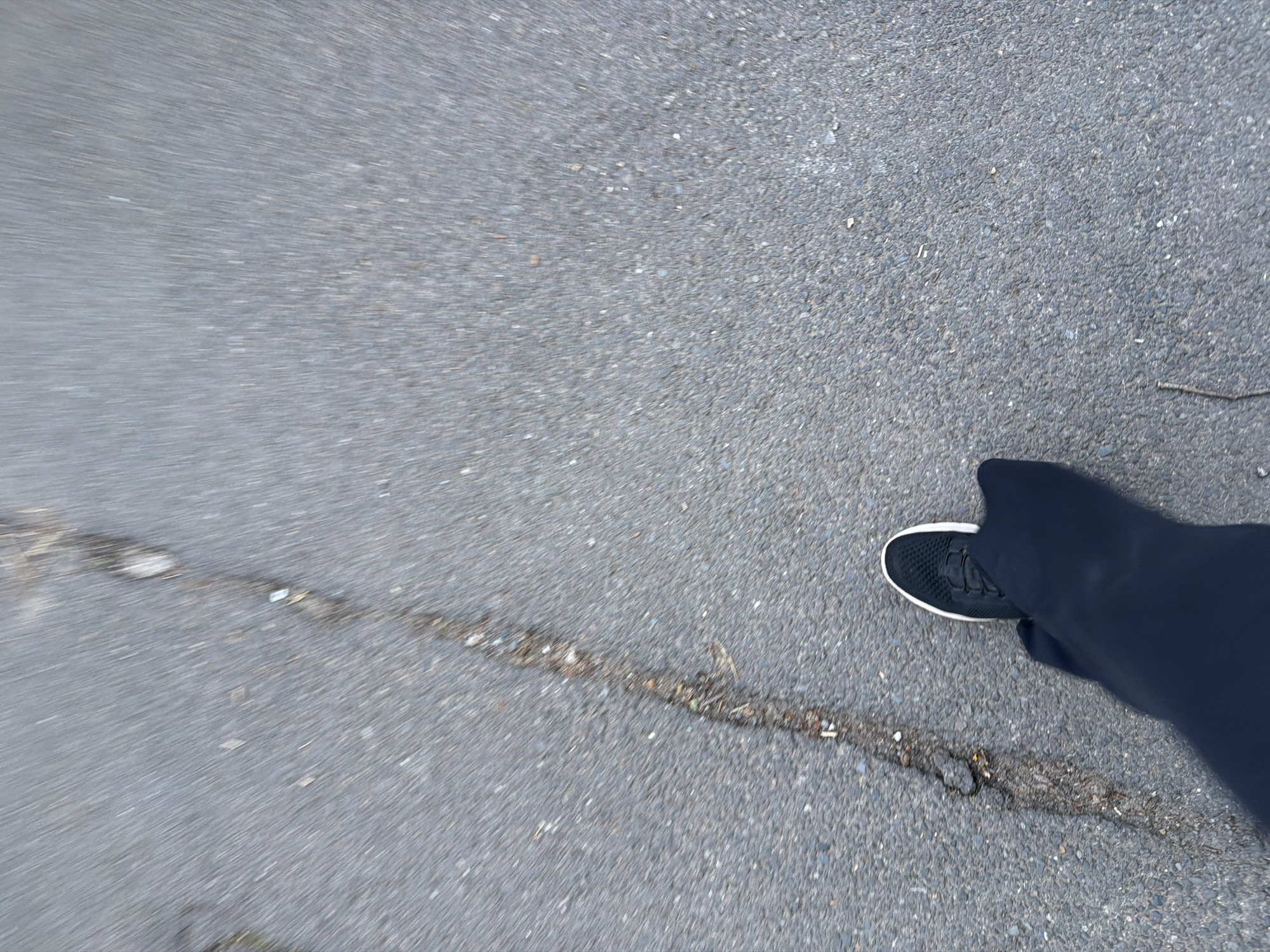 A high-angle, motion-blurred photograph depicts the lower leg and a black athletic shoe with a white sole belonging to an individual, positioned over dark grey asphalt pavement in Maidstone, United Kingdom. A significant, irregular crack, containing organic matter and detritus, extends diagonally across the ground from the upper left quadrant towards the lower middle. The pavement surface exhibits visible aggregate and minor scattered debris. A slender dark stick is present in the lower right. The image's blurring is consistent with movement, suggesting either the subject is walking or the camera was in motion.