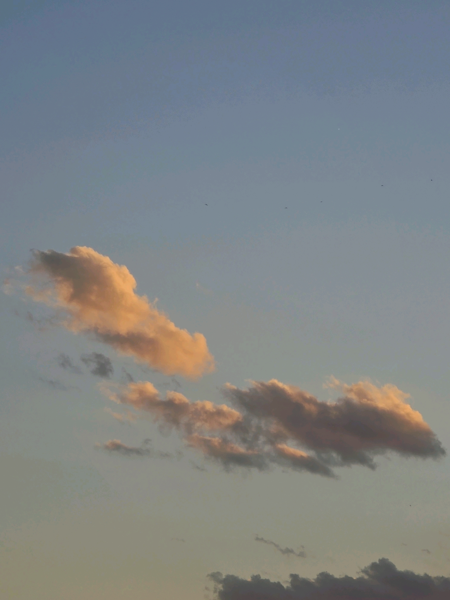 The image depicts a sky scene above Obrochishte, Bulgaria. The sky is a gradient of light blue at the top fading to a muted yellow-green near the horizon. Two distinct formations of clouds are visible. The upper cloud formation is elongated and wispy, illuminated by warm, orange-pink light, suggesting it is catching the light of a sunset or sunrise. Below this, another, more fragmented cloud formation is visible, also tinged with similar warm colors. Several small, dark specks, likely birds in flight, are scattered across the sky. A faint, bright spot, possibly a distant planet or star, is discernible in the upper central portion of the sky. The overall impression is one of a serene, natural landscape captured during transitional light conditions.