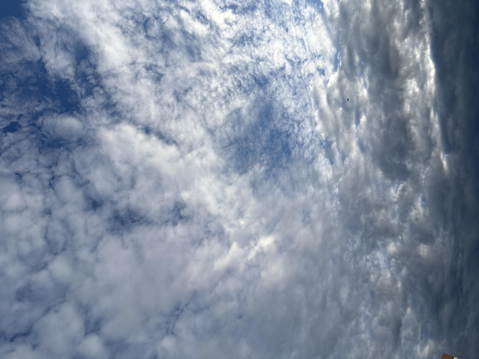 This is a photograph of a sky filled with a variety of clouds, ranging from light, wispy cirrocumulus to darker, more ominous cumulonimbus formations. The blue sky is visible in patches between the clouds. There is a small dark object, possibly a bird or a distant airplane, visible in the upper right quadrant of the image. The lower portion of the image shows a dark, overcast sky with heavy cloud cover. The top left corner of the image shows a sliver of a brick structure, suggesting a building is present. The photograph appears to have been taken outdoors. It is not possible to determine the specific location within Vitsebsk, Belarus from this image alone.