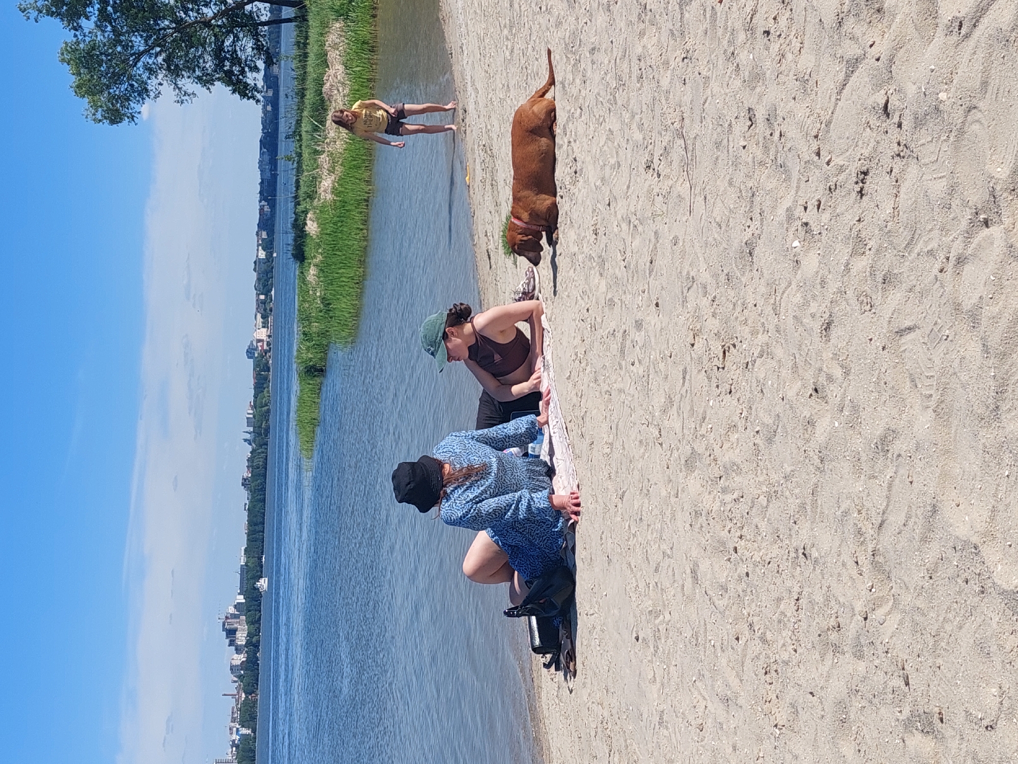 On a sunny day in Ternopil, Ukraine, a sandy beach stretches along the edge of a body of water, possibly the Ternopil Pond. A bright blue sky with sparse clouds is visible. Three individuals are present on the beach. Near the water's edge, a person in a yellow shirt and dark shorts is lying prone. Further along the beach, a woman wearing a brown top, black shorts, and a green cap kneels near a towel. Adjacent to her is a second woman wearing a blue patterned dress and a black hat, also kneeling. A brown dog stands next to the second woman. A black bag sits on the sand next to the woman in blue. Trees and buildings can be seen along the opposite shore of the water.
