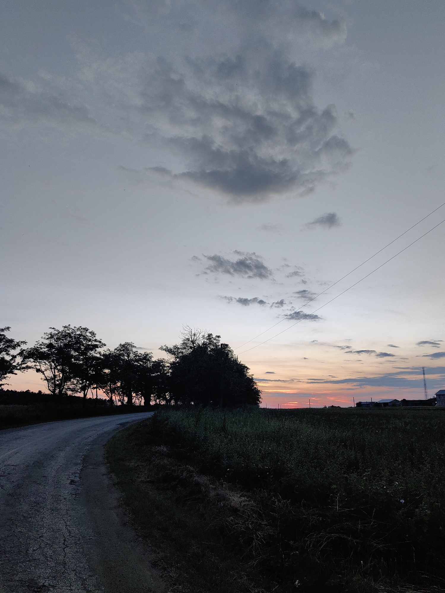 A rural scene unfolds under a dusky sky as the sun sets over the city of Zuy'ske, Ukraine. A gravel road curves into the distance on the left, bordered by dark silhouettes of trees. The sky transitions from a pale blue at the top to soft hues of pink and orange near the horizon, with scattered clouds present. In the distance, farm buildings and a tall tower are visible against the faint twilight. The foreground consists of dense, dark green foliage.