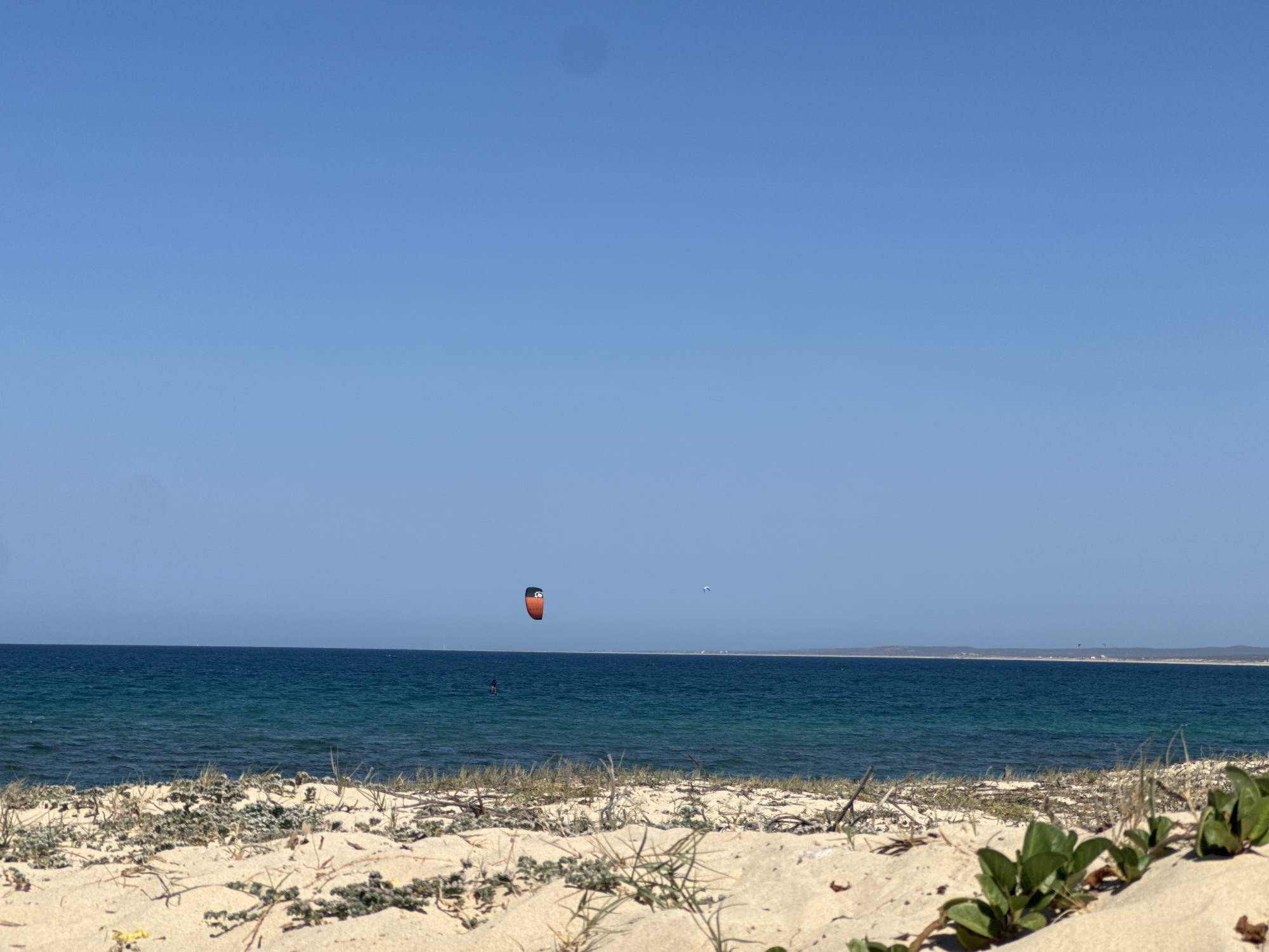 The image depicts a coastal scene. In the foreground is a sandy beach with vegetation. Beyond the beach is the ocean, a strip of land in the distance, and a clear blue sky.
There are two kites visible in the sky over the ocean. One is red and black, and the other is blue. There appears to be a kitesurfer under the red and black kite.