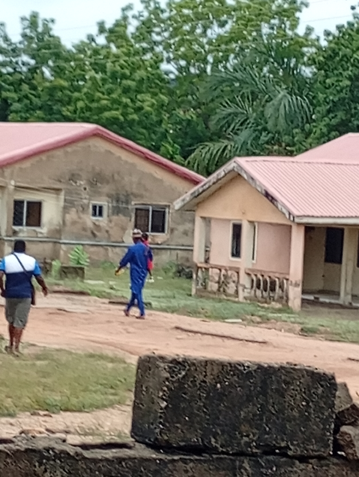 The image depicts a dirt road in Adankolo, Nigeria, flanked by two buildings with pink roofs. One is a faded beige, one-story structure, the other a weathered gray, one-story building with brown window frames. Two men are walking on the road. The man in the front wears a blue shirt with a white stripe and gray shorts. The man behind him is carrying a child wearing a red top. A dark, textured block lies in the foreground. The background includes green trees and vegetation.
