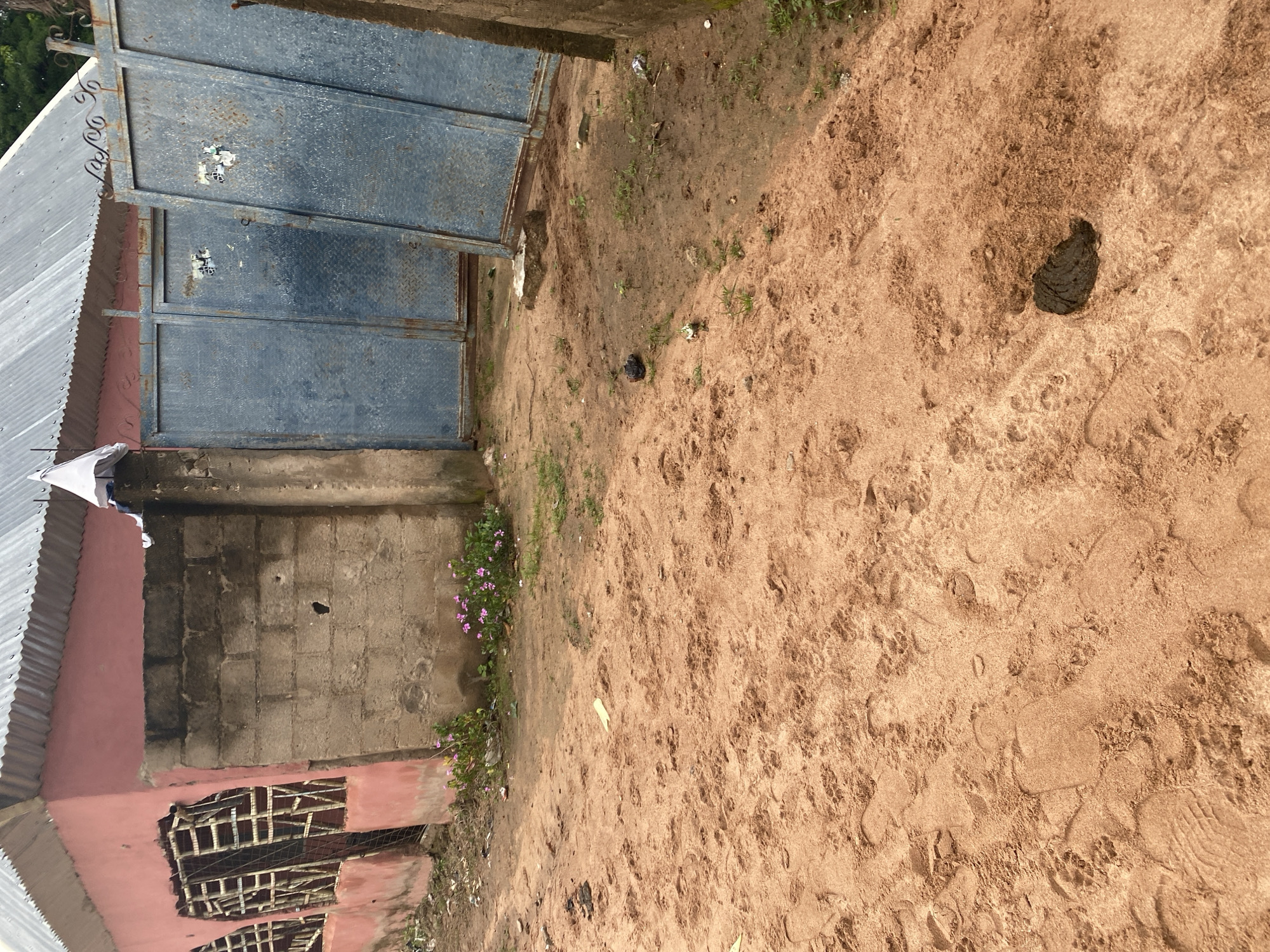In Jauro Yinu, Nigeria, the image depicts a dusty, sandy ground with visible footprints, suggesting recent activity. A pile of what appears to be animal excrement is present in the foreground, a common sight in many outdoor environments. To the left, a pink-colored building with barred windows is partially visible, indicating a structure likely serving residential or commercial purposes. Adjacent to it, a grey brick wall stands, partially weathered. Further to the right, large blue metal gates are installed, potentially providing access to a compound or property. Small pink flowers are growing near the base of the wall, adding a touch of natural color to the otherwise earthy tones of the scene. The overall environment appears to be an outdoor, possibly undeveloped area within the city.