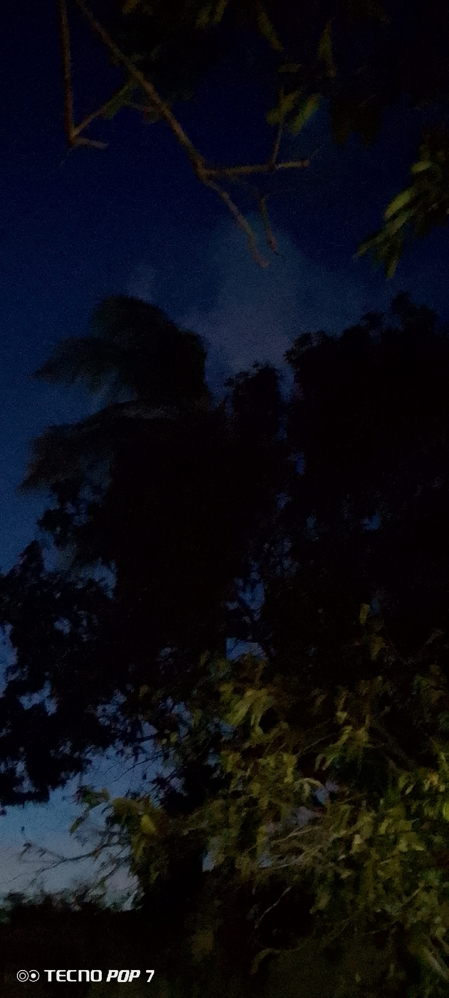 The image depicts a night scene with a view upwards through trees in Altagracia, Venezuela. The sky is visible in the upper portion of the frame, showing a transition from a lighter, possibly twilight blue near the horizon to a darker blue further up. A sparse scattering of cloud cover is also visible. Tree branches and leaves dominate the scene, with the leaves more visible in the lower portion. The lower area of the image is very dark, obscuring details on the ground. The camera used was a TECNO POP 7.