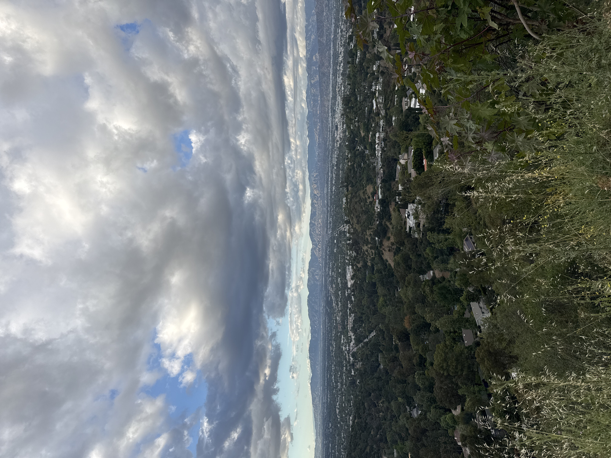 The image depicts a cityscape, likely Los Angeles, California, viewed from a higher elevation. The sky is filled with a mix of dark and light clouds, with patches of blue visible. Below, the city sprawls, with dense vegetation and buildings interspersed throughout. In the foreground, vegetation grows on the higher elevation from which the photo has been taken. Mountains are visible in the middle distance, adding depth to the scene.
