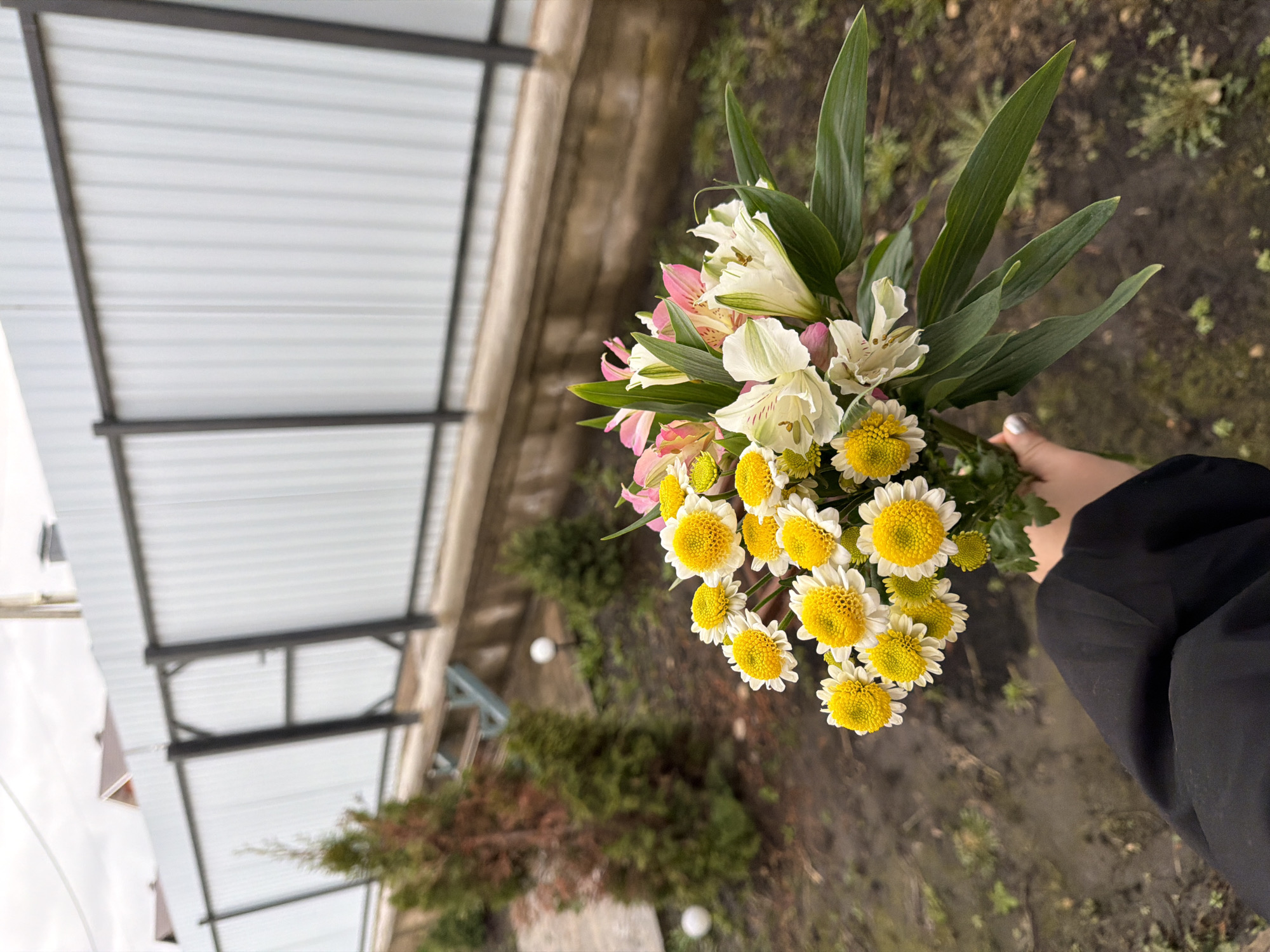 The image depicts a bouquet of flowers held in a hand, with a partially obscured cityscape visible in the background. The bouquet includes white lilies, pink alstroemeria, and yellow and white chrysanthemums. The flowers are held against a backdrop of soil, vegetation, and what appears to be a partially covered outdoor structure. The hand holding the bouquet is slightly visible, as well as part of a black jacket. The location may be in Большая Шильна, Russia.