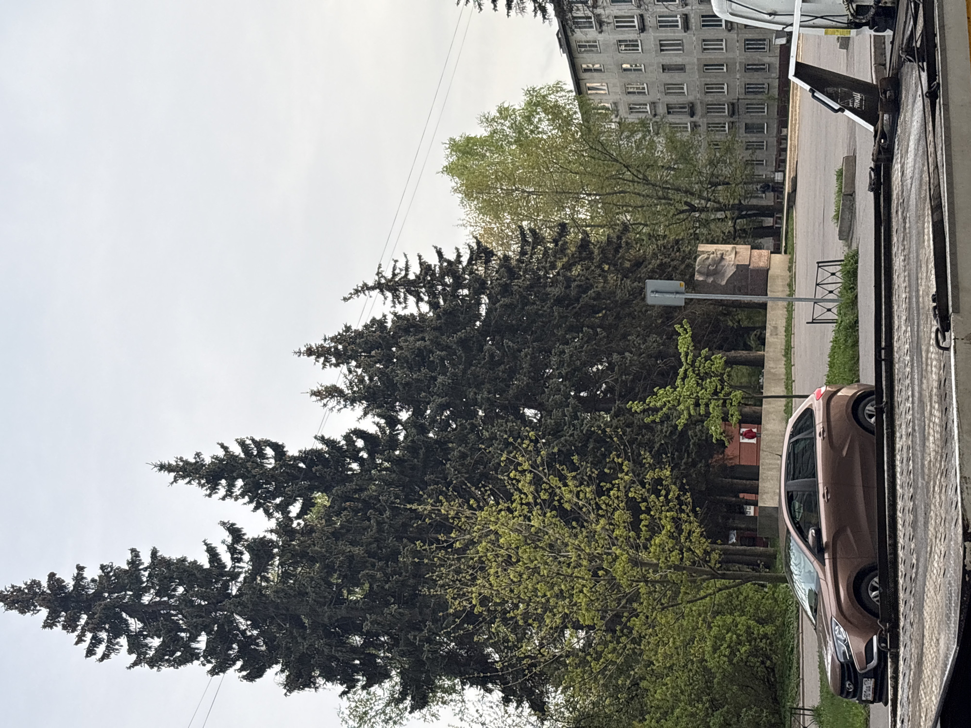 The image depicts a street scene in Saint Petersburg, Russia. A bronze-colored car is being towed on a flatbed truck. In the background, a Soviet-era apartment building is visible. A bust on a pedestal, likely a monument, stands near a sidewalk and greenery. Mature trees, including firs, are prominent in the scene. The sky is overcast.