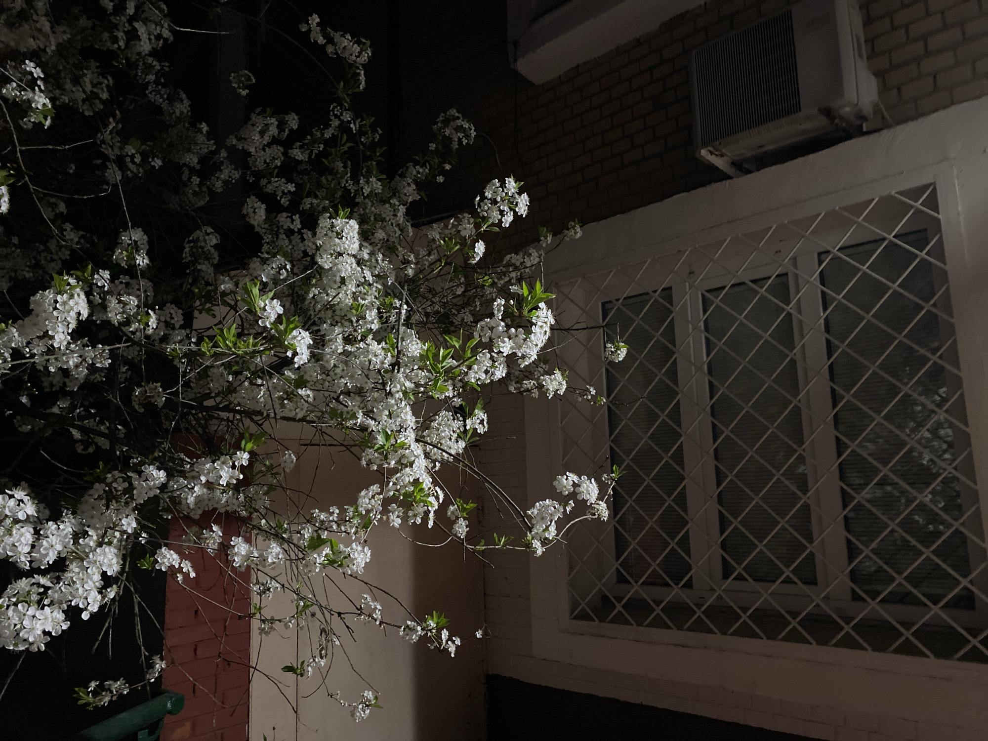 The image shows a blossoming tree in front of a building at night. The tree has white flowers and some green leaves, with branches extending across the left side of the frame. The building has a brick wall and a white window with a diamond-shaped lattice. An air conditioning unit is mounted on the wall above the window. The scene is dimly lit, with shadows obscuring details.
