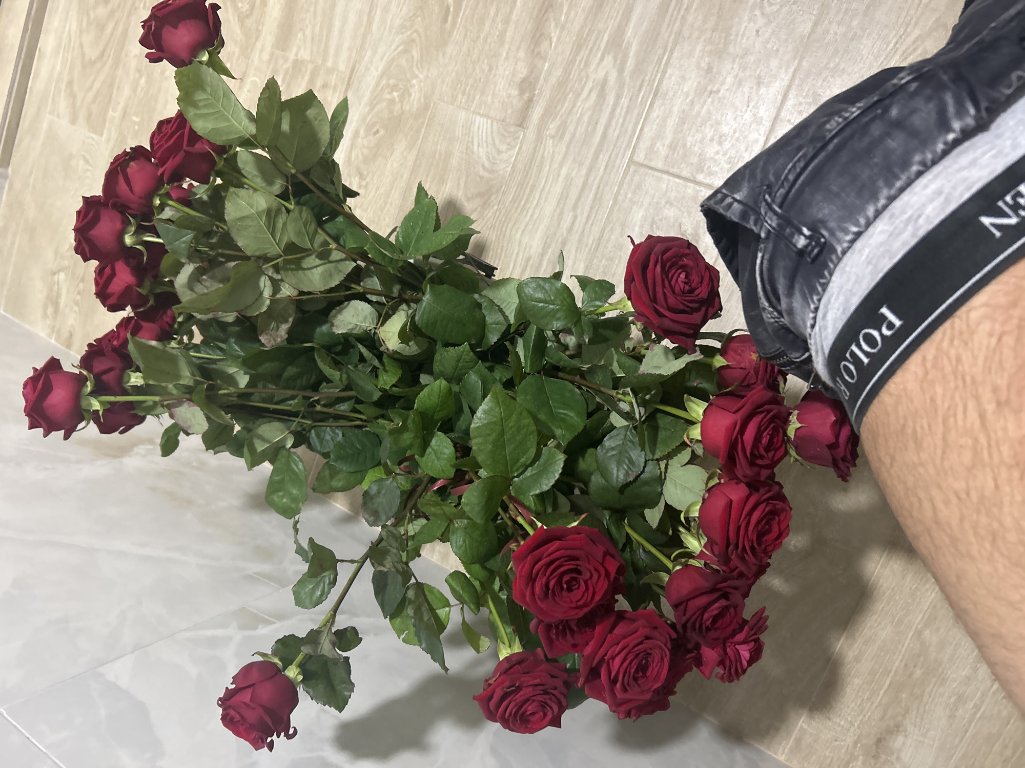 A large bouquet of dark red roses with vibrant green leaves is prominently displayed, laid out across a light-colored floor. The bouquet consists of numerous roses, many appearing to be fully bloomed or in the process of opening. The roses have a deep, rich red hue.
On the right side of the image, part of a person's lower leg and upper thigh is visible, positioned alongside the roses. The person is wearing dark-wash jeans, possibly black or dark grey, and a portion of their underwear waistband is visible above the jeans. The underwear features a grey band with a black stripe, on which the word "POLO" is clearly legible in white lettering, oriented upside down from the viewer's perspective. The leg skin visible is fair and covered with fine hair.
The floor beneath the roses and the person's leg is composed of two different types of flooring. The upper and right sections show a light wood-grain patterned floor, while the lower and left sections consist of lighter, possibly off-white or light grey tiled flooring with subtle patterns, suggesting an indoor setting in Zlatograd, Bulgaria. The lighting appears to be artificial, creating soft shadows. No specific activity is evident beyond the presentation of the roses and the person's presence.