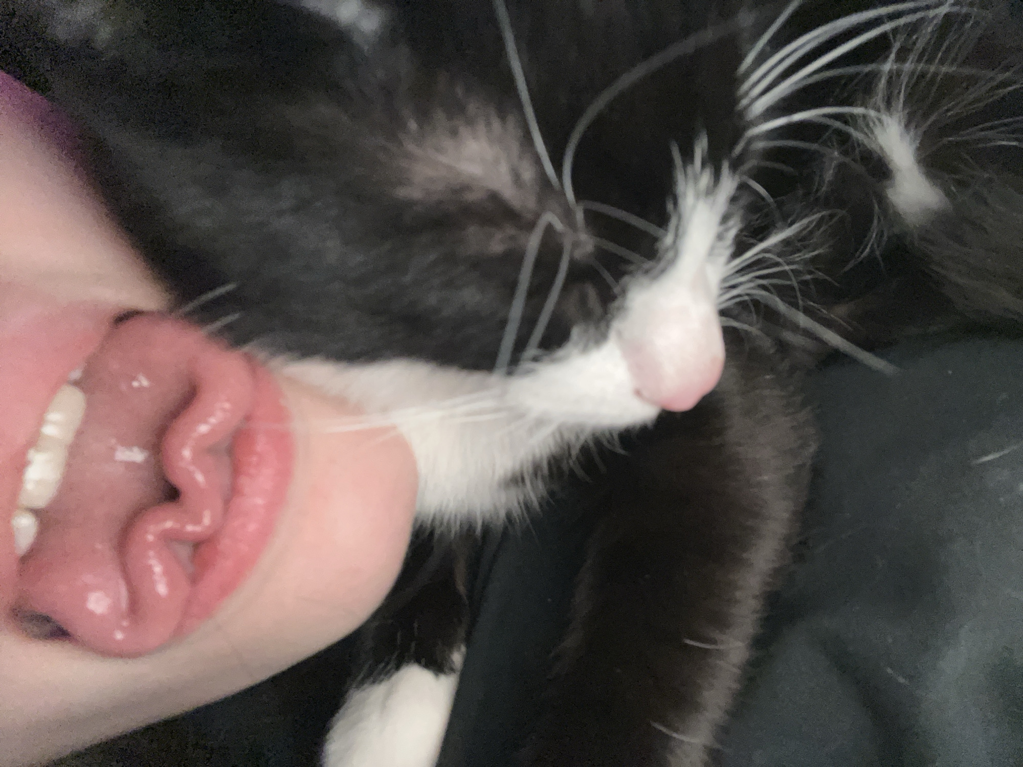 A close-up, indoor photograph shows a person's open mouth with a protruding tongue next to a black and white cat. The cat's head and body are partially visible, showing white whiskers and a pink nose. The background is dark and indistinct. There is no indication of the location being Saint Petersburg, Russia.